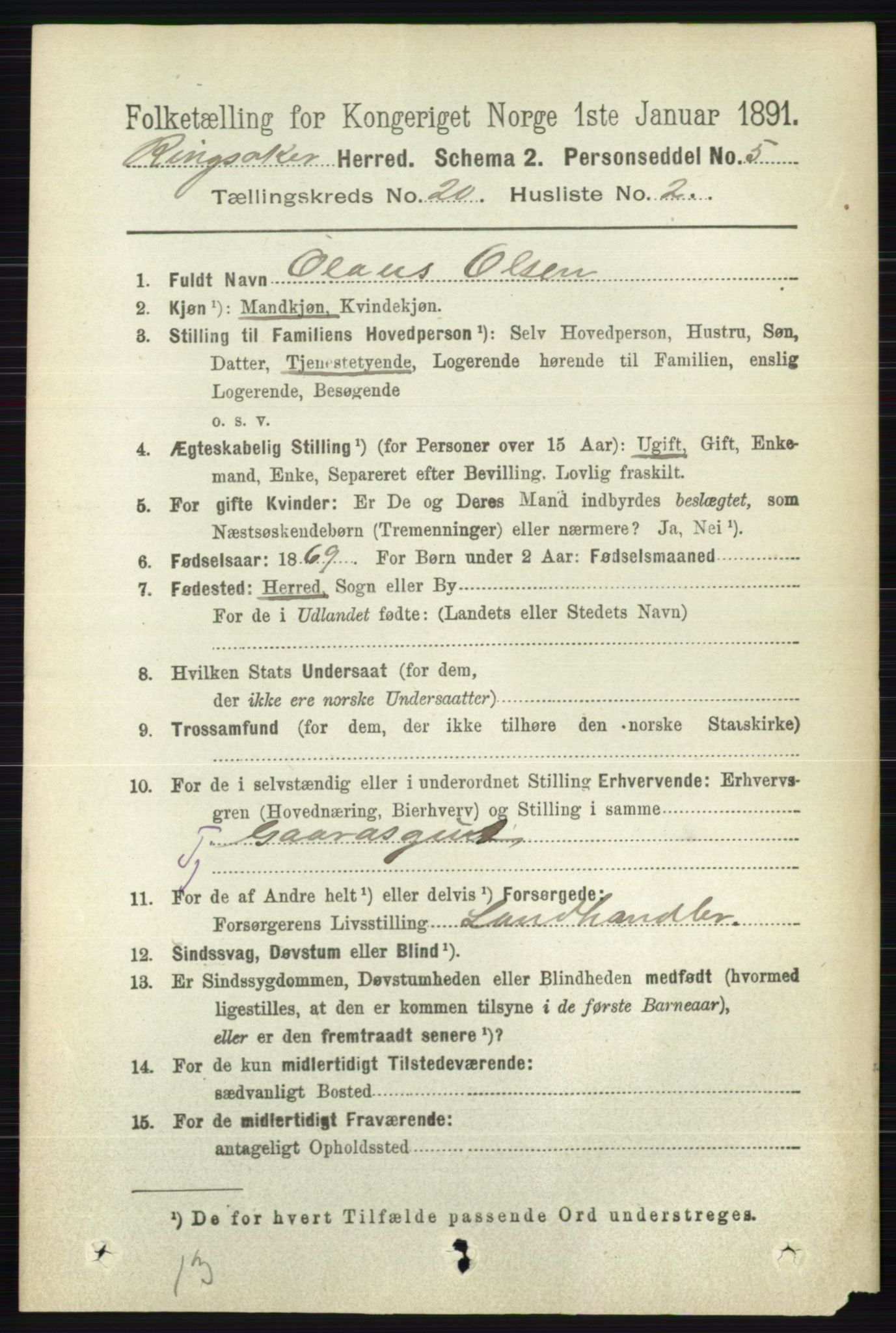 RA, 1891 census for 0412 Ringsaker, 1891, p. 11113