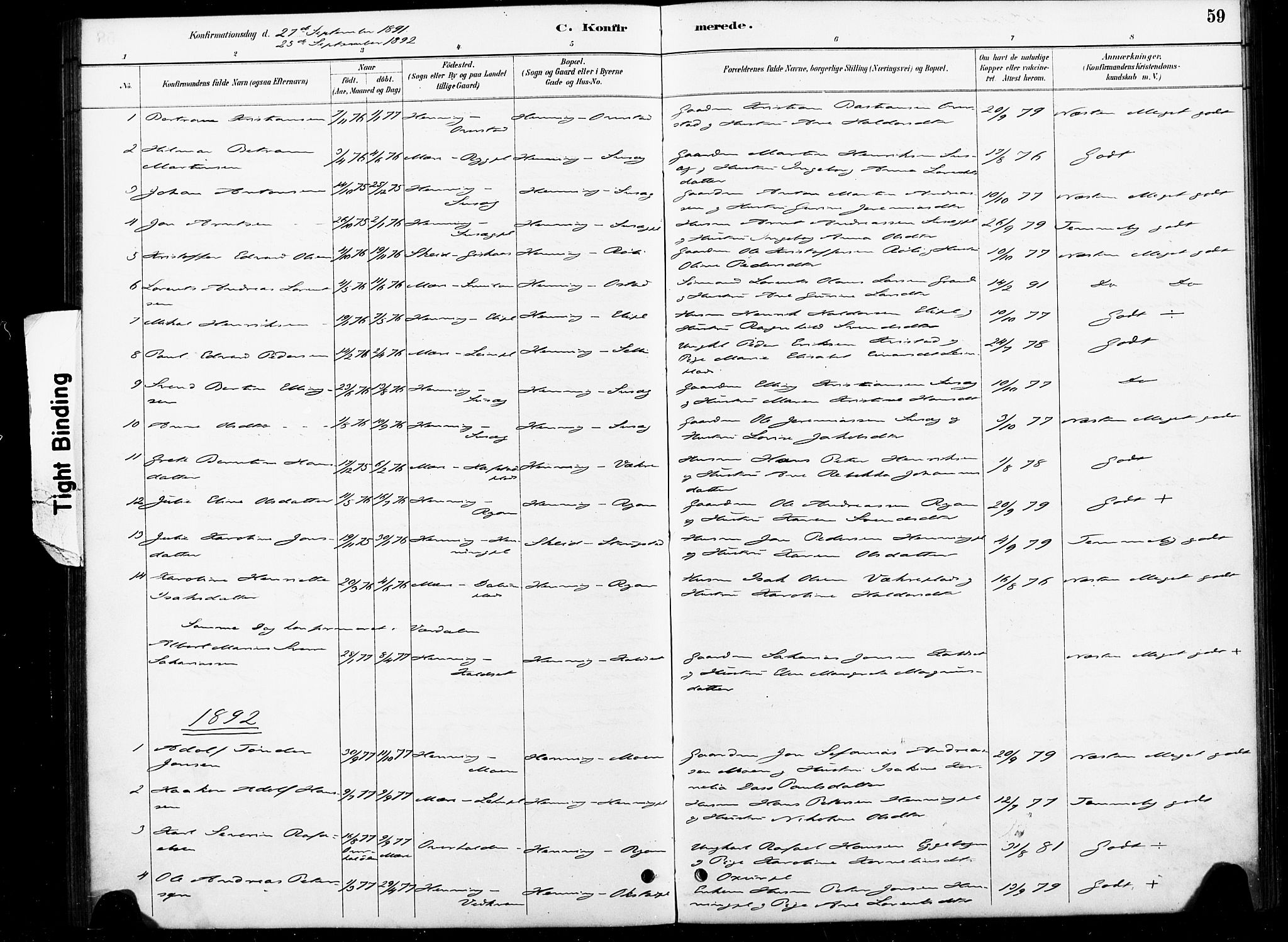 Ministerialprotokoller, klokkerbøker og fødselsregistre - Nord-Trøndelag, SAT/A-1458/738/L0364: Parish register (official) no. 738A01, 1884-1902, p. 59