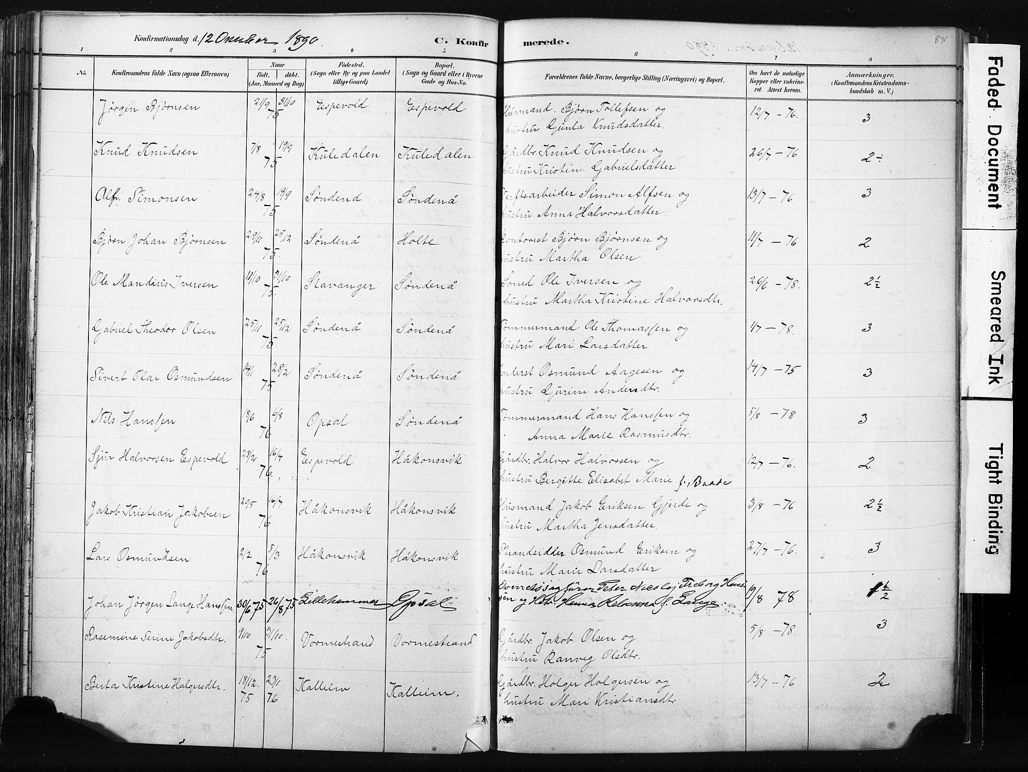 Vikedal sokneprestkontor, AV/SAST-A-101840/01/IV: Parish register (official) no. A 10, 1884-1907, p. 88