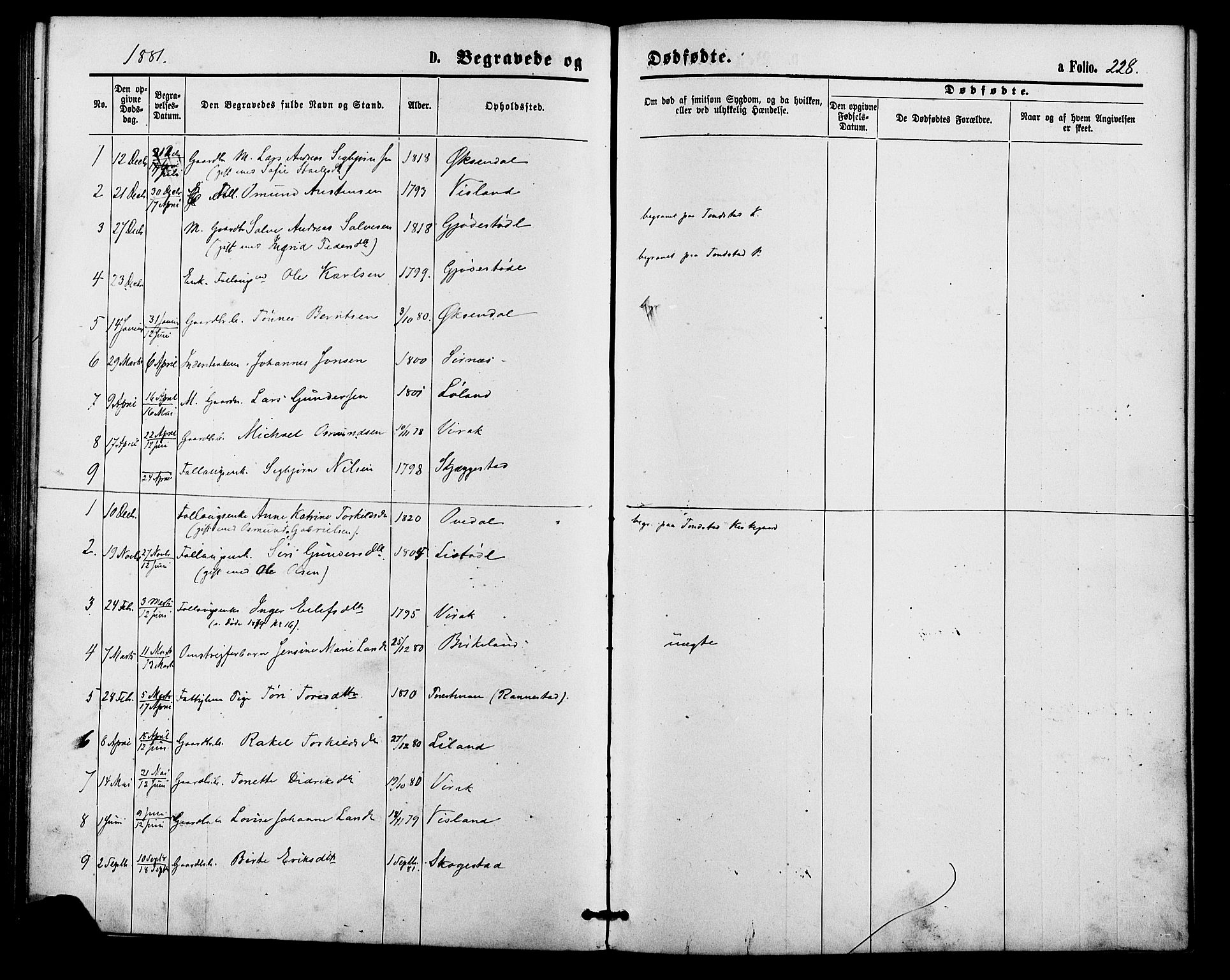 Bakke sokneprestkontor, SAK/1111-0002/F/Fa/Faa/L0007: Parish register (official) no. A 7, 1877-1886, p. 228