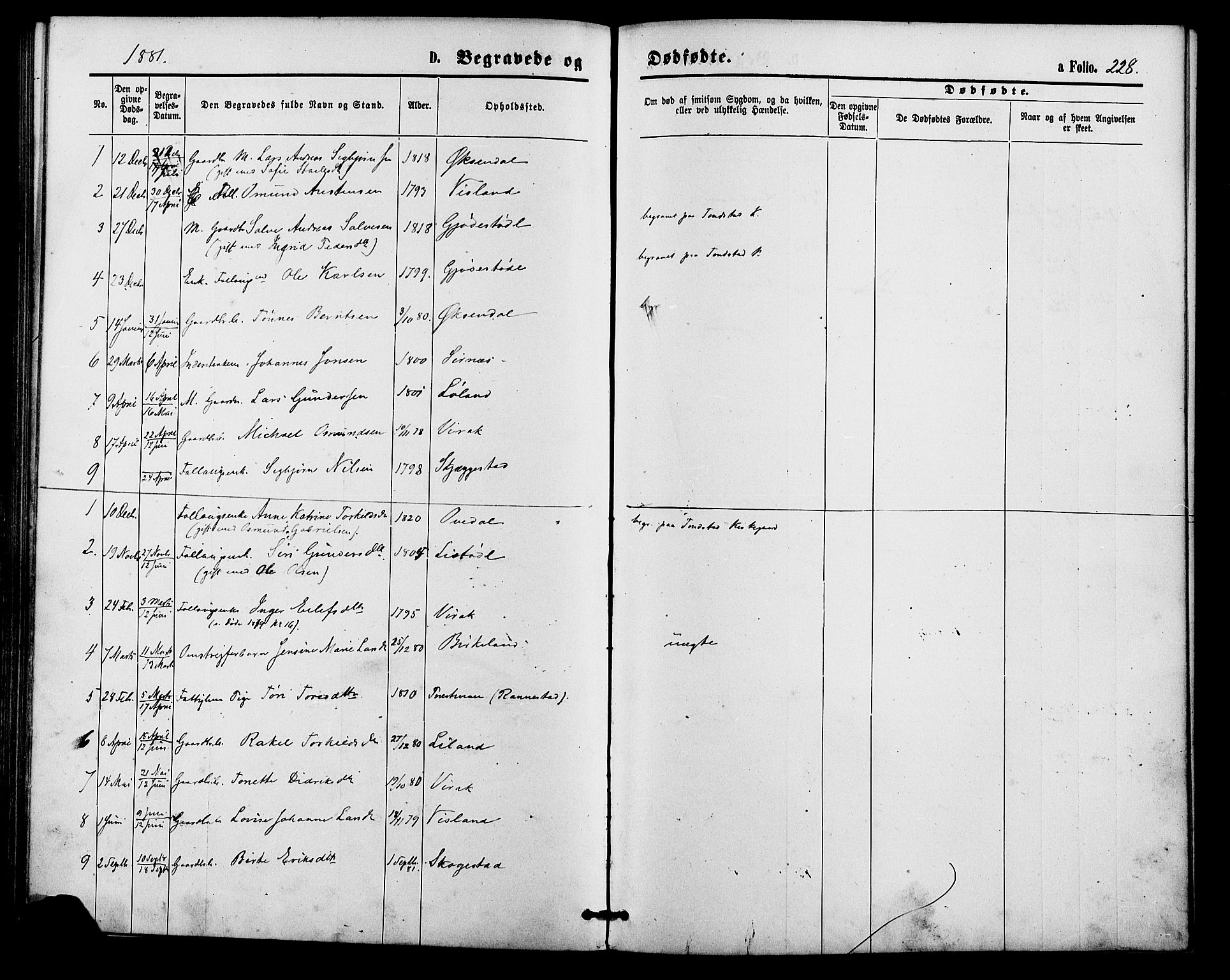 Bakke sokneprestkontor, AV/SAK-1111-0002/F/Fa/Faa/L0007: Parish register (official) no. A 7, 1877-1886, p. 228