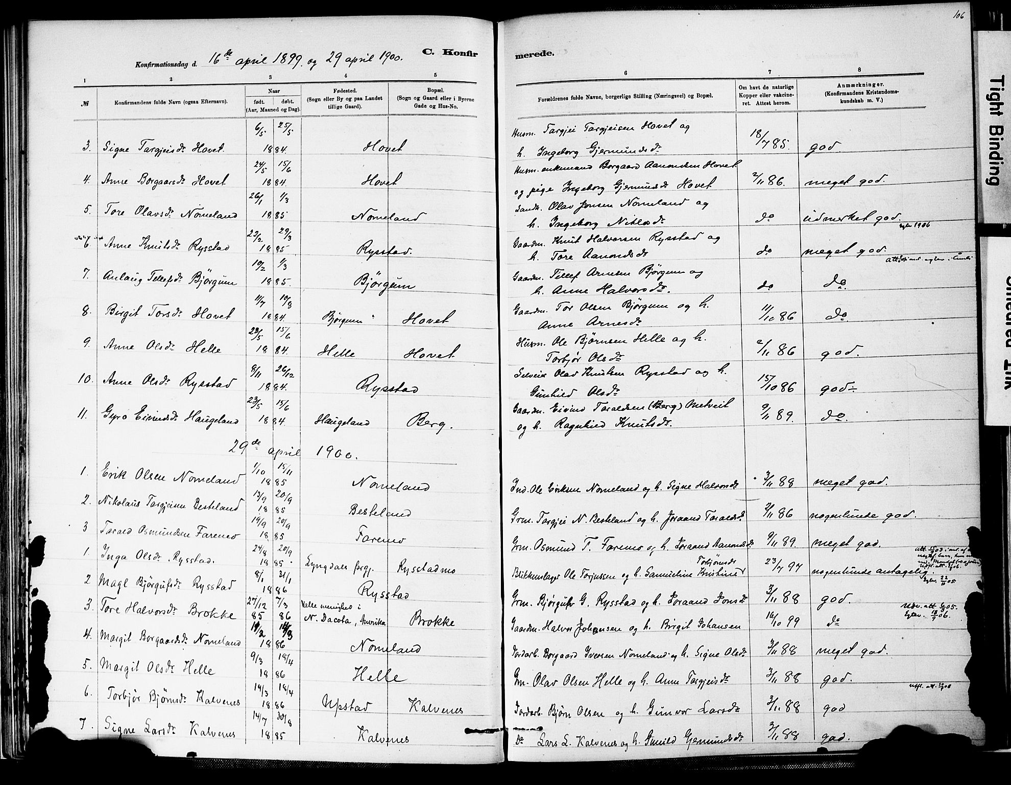Valle sokneprestkontor, SAK/1111-0044/F/Fa/Fab/L0001: Parish register (official) no. A 1, 1882-1910, p. 106