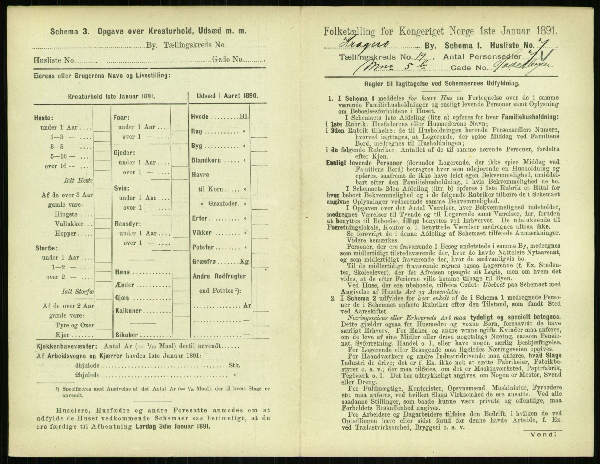 RA, 1891 census for 0801 Kragerø, 1891, p. 808