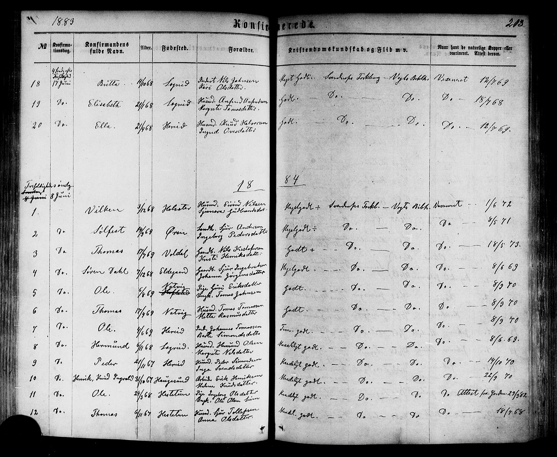 Årdal sokneprestembete, SAB/A-81701: Parish register (official) no. A 3, 1863-1886, p. 213