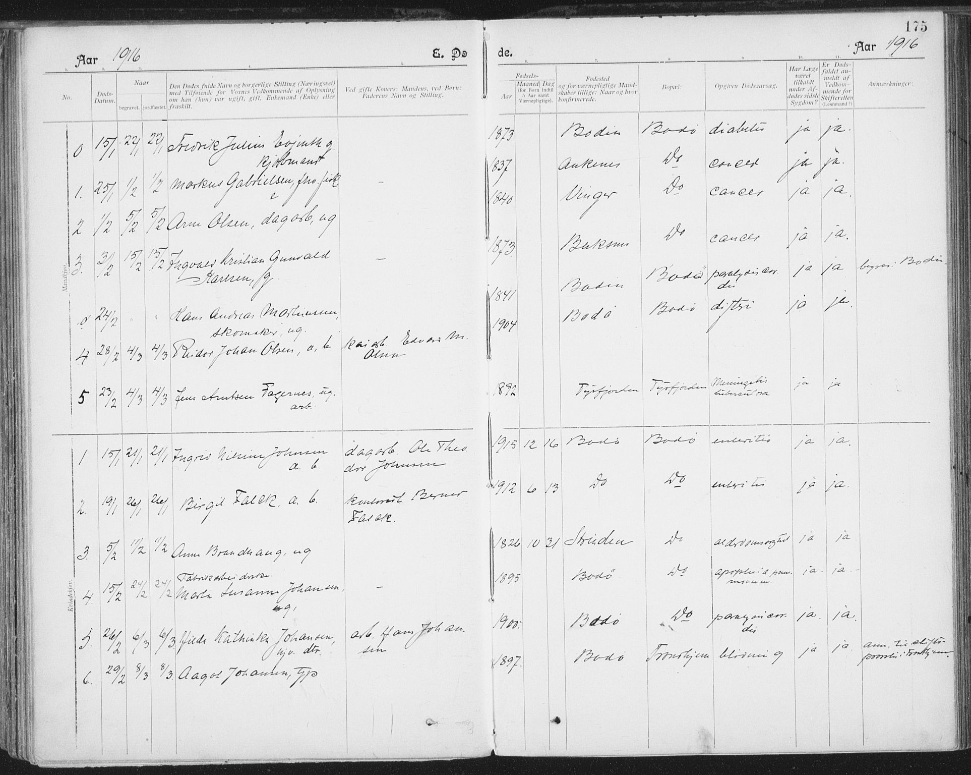 Ministerialprotokoller, klokkerbøker og fødselsregistre - Nordland, SAT/A-1459/801/L0012: Parish register (official) no. 801A12, 1900-1916, p. 175