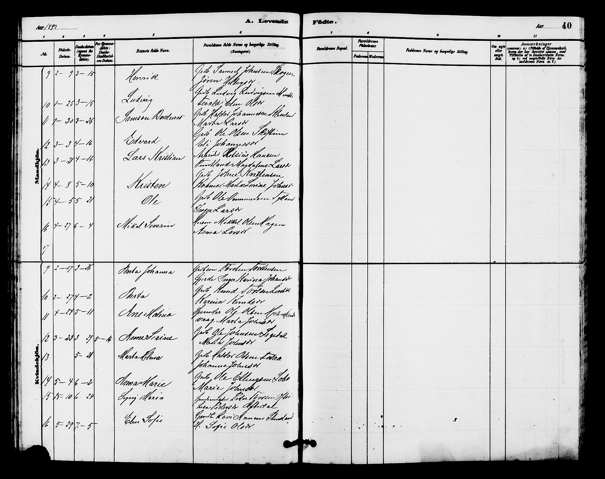 Hjelmeland sokneprestkontor, AV/SAST-A-101843/01/V/L0007: Parish register (copy) no. B 7, 1880-1909, p. 40