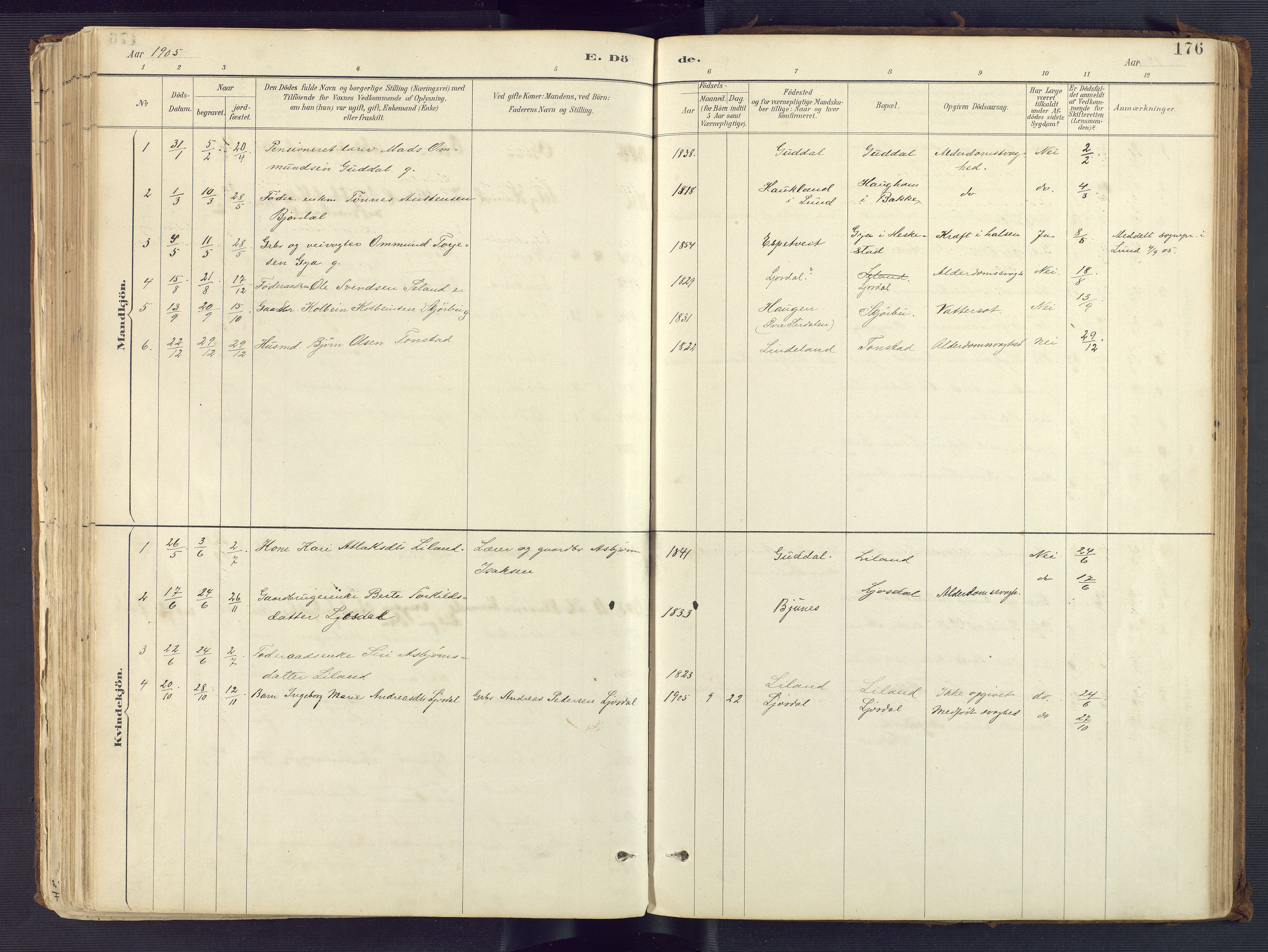 Sirdal sokneprestkontor, AV/SAK-1111-0036/F/Fa/Fab/L0004: Parish register (official) no. A 4, 1887-1919, p. 176