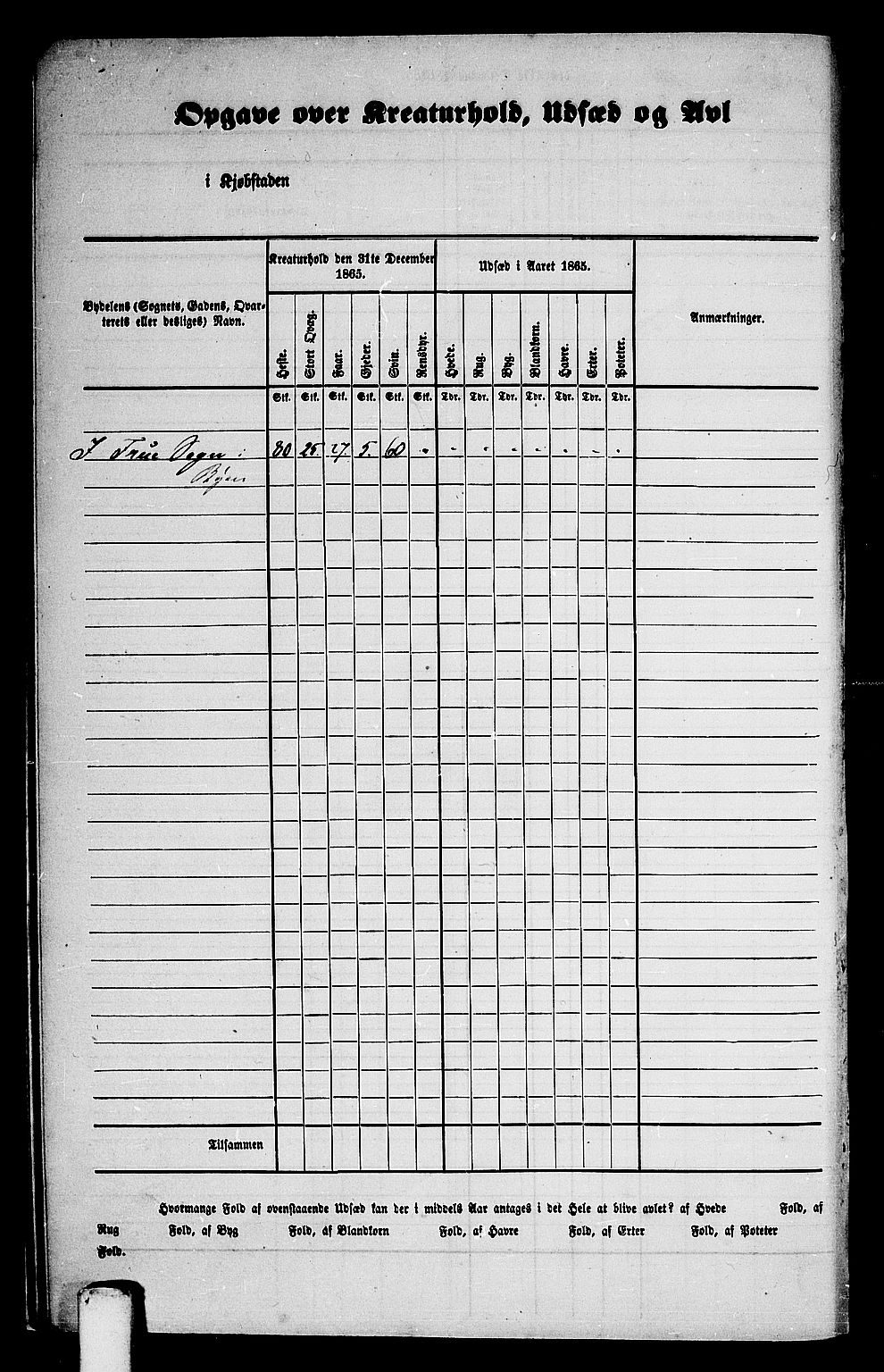 RA, 1865 census for Trondheim, 1865, p. 21