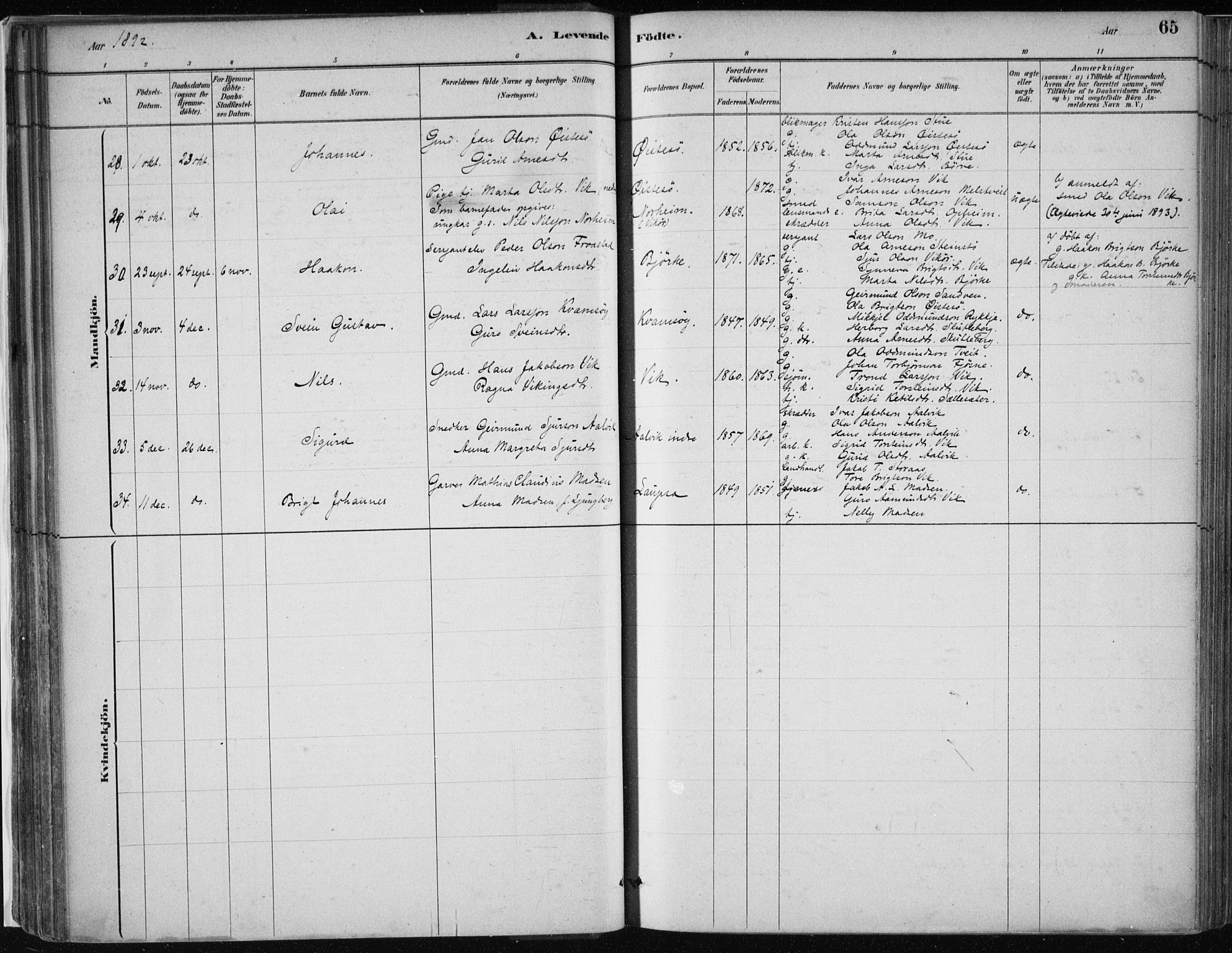 Kvam sokneprestembete, AV/SAB-A-76201/H/Haa: Parish register (official) no. C  1, 1880-1906, p. 65