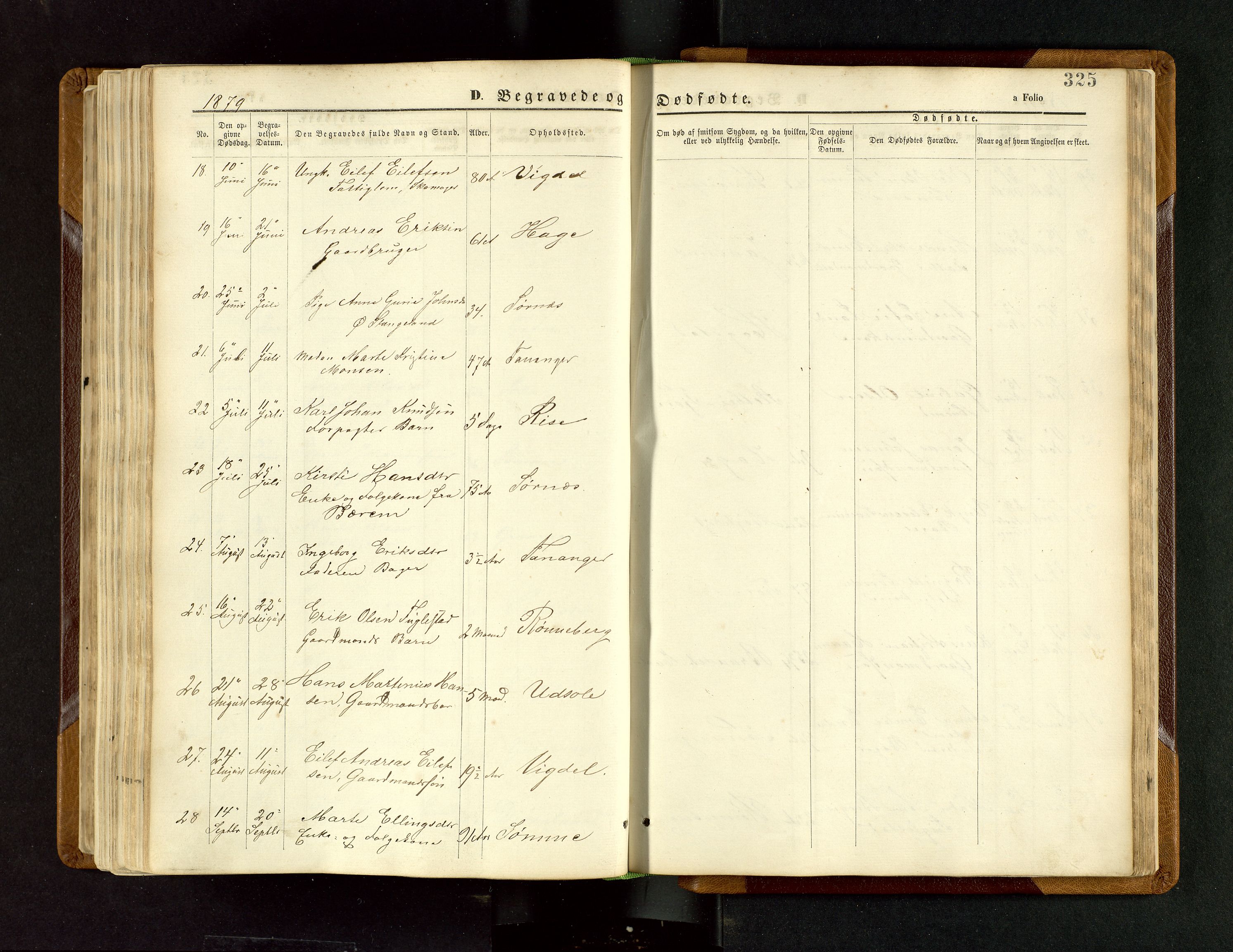 Håland sokneprestkontor, AV/SAST-A-101802/001/30BB/L0003: Parish register (copy) no. B 3, 1873-1893, p. 325