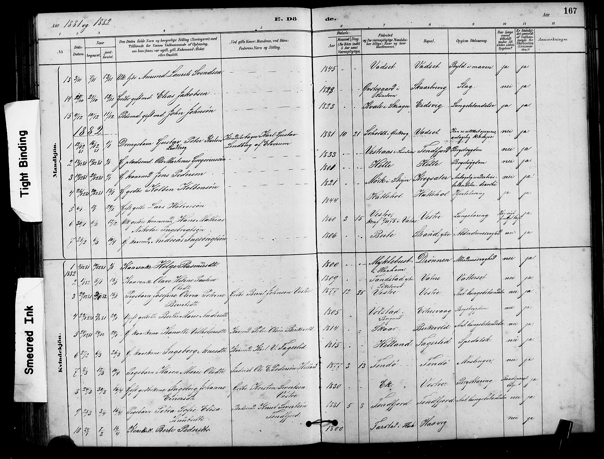 Ministerialprotokoller, klokkerbøker og fødselsregistre - Møre og Romsdal, AV/SAT-A-1454/525/L0376: Parish register (copy) no. 525C02, 1880-1902, p. 167