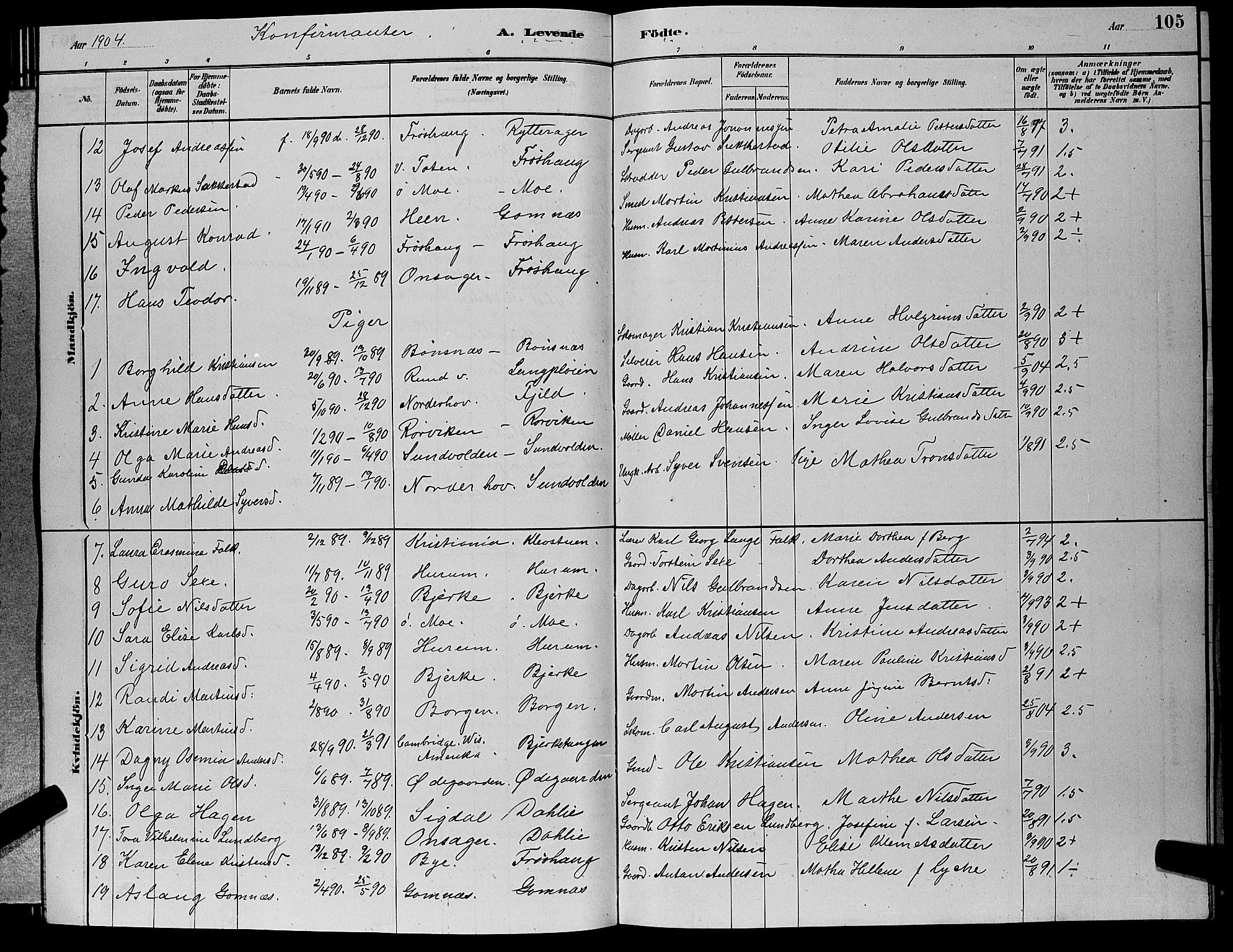 Hole kirkebøker, SAKO/A-228/G/Ga/L0003: Parish register (copy) no. I 3, 1879-1904, p. 105