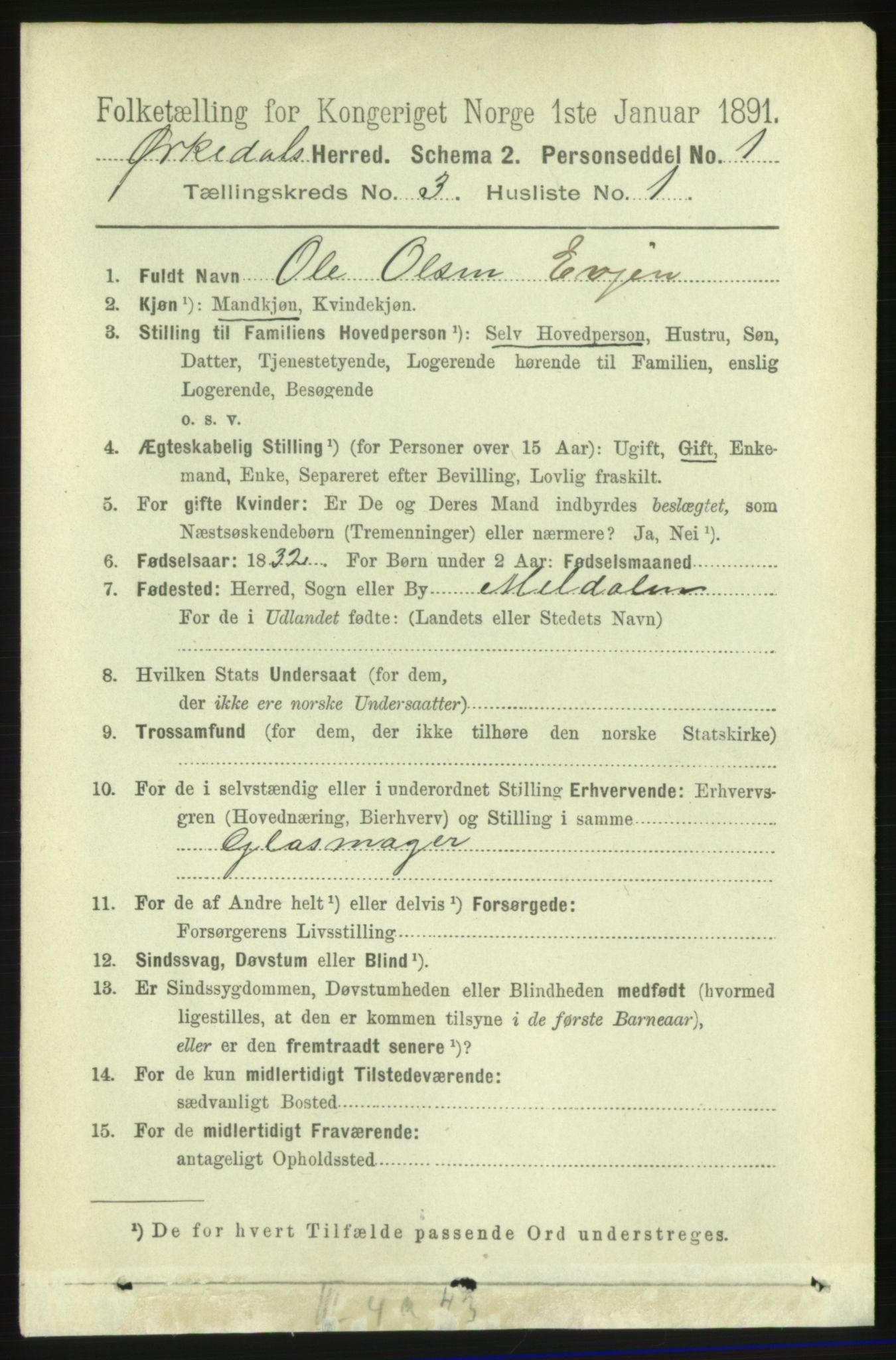 RA, 1891 census for 1638 Orkdal, 1891, p. 1481