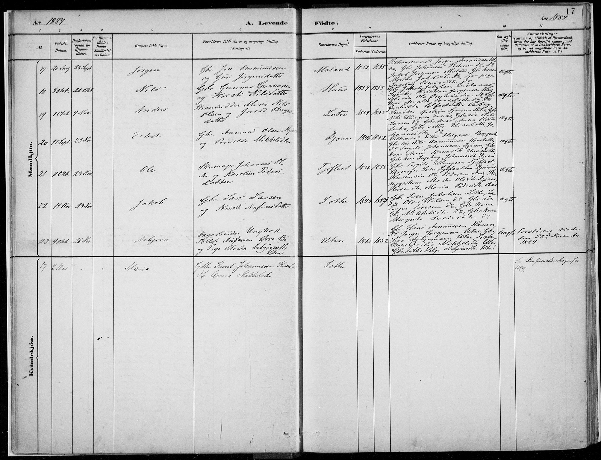 Ullensvang sokneprestembete, AV/SAB-A-78701/H/Haa: Parish register (official) no. E  1, 1882-1921, p. 17