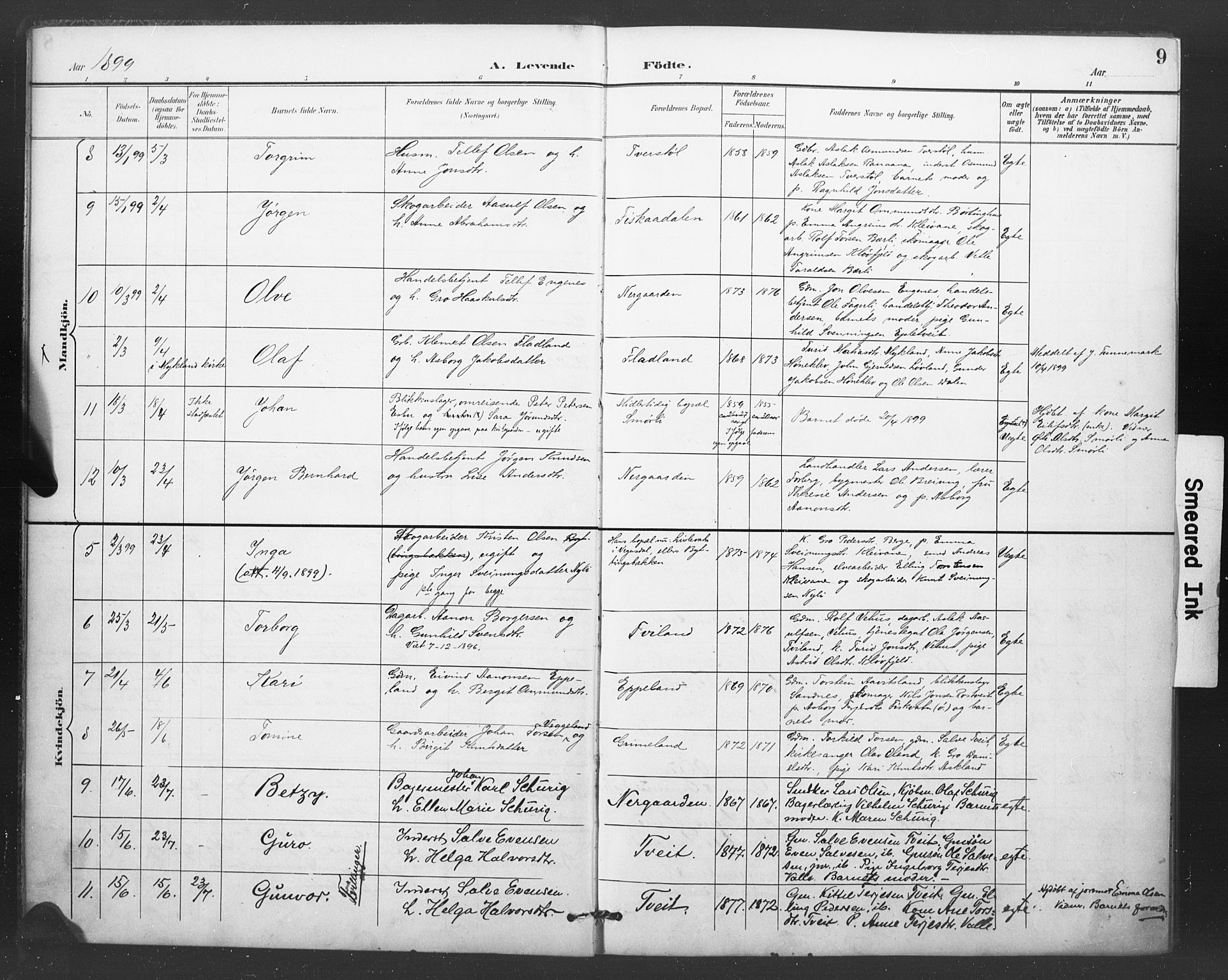 Åmli sokneprestkontor, AV/SAK-1111-0050/F/Fa/Fac/L0011: Parish register (official) no. A 11, 1898-1899, p. 9