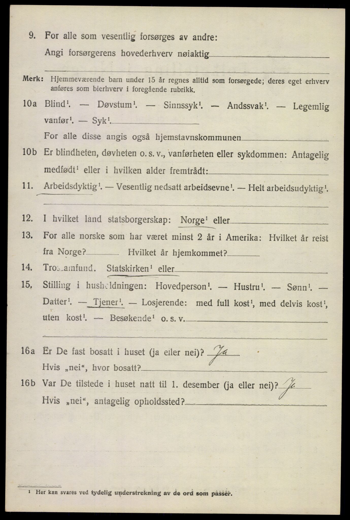 SAKO, 1920 census for Stokke, 1920, p. 11175