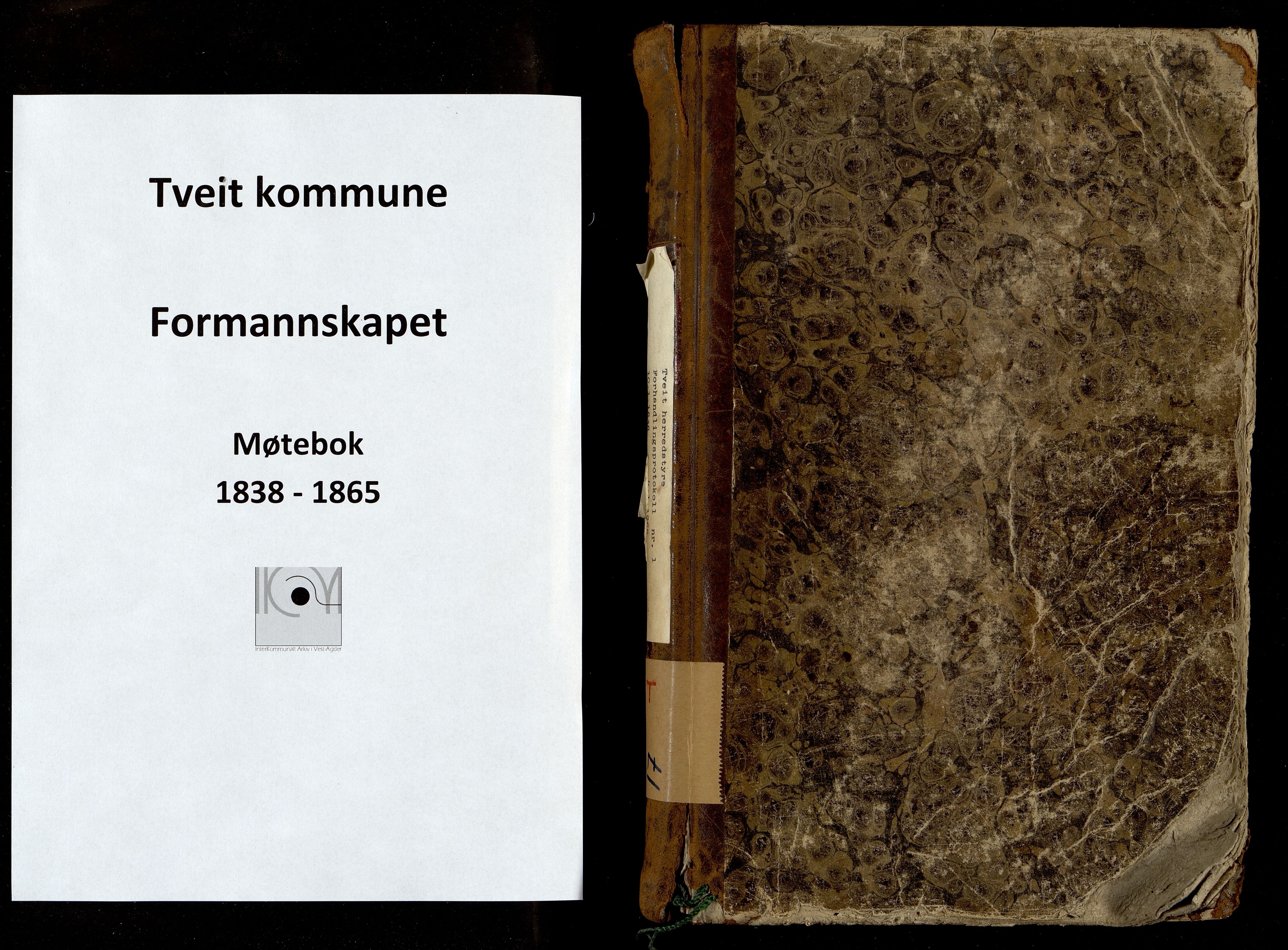 Tveit kommune - Formannskapet/ Kommunestyret, ARKSOR/1001TV120/A/L0001: Møtebok (d), 1838-1865