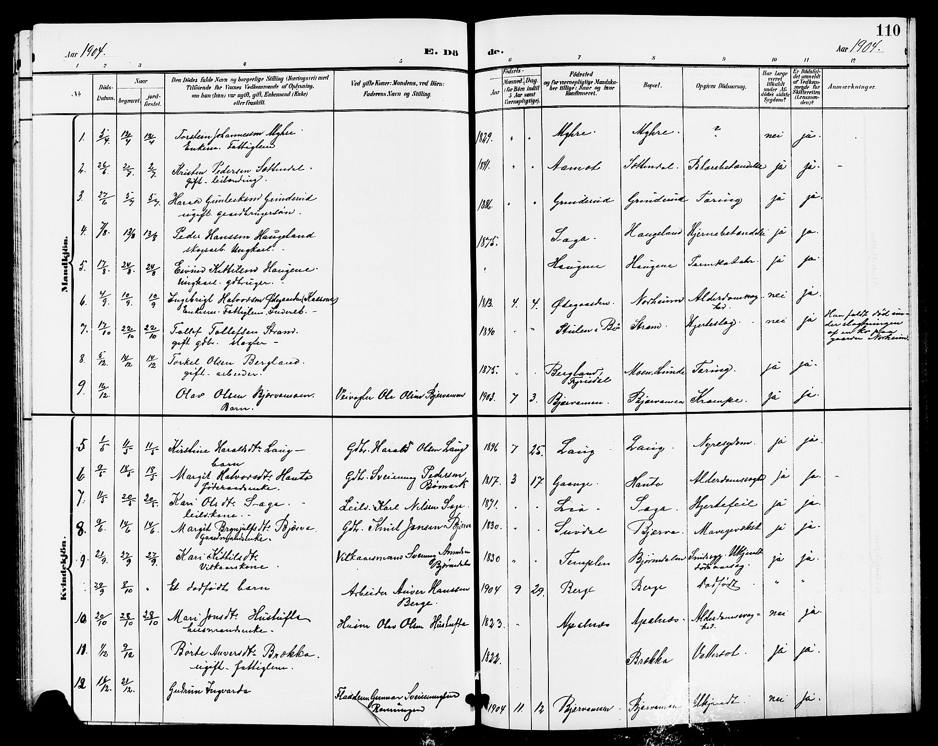 Lunde kirkebøker, SAKO/A-282/G/Ga/L0003: Parish register (copy) no. I 3, 1896-1905, p. 110