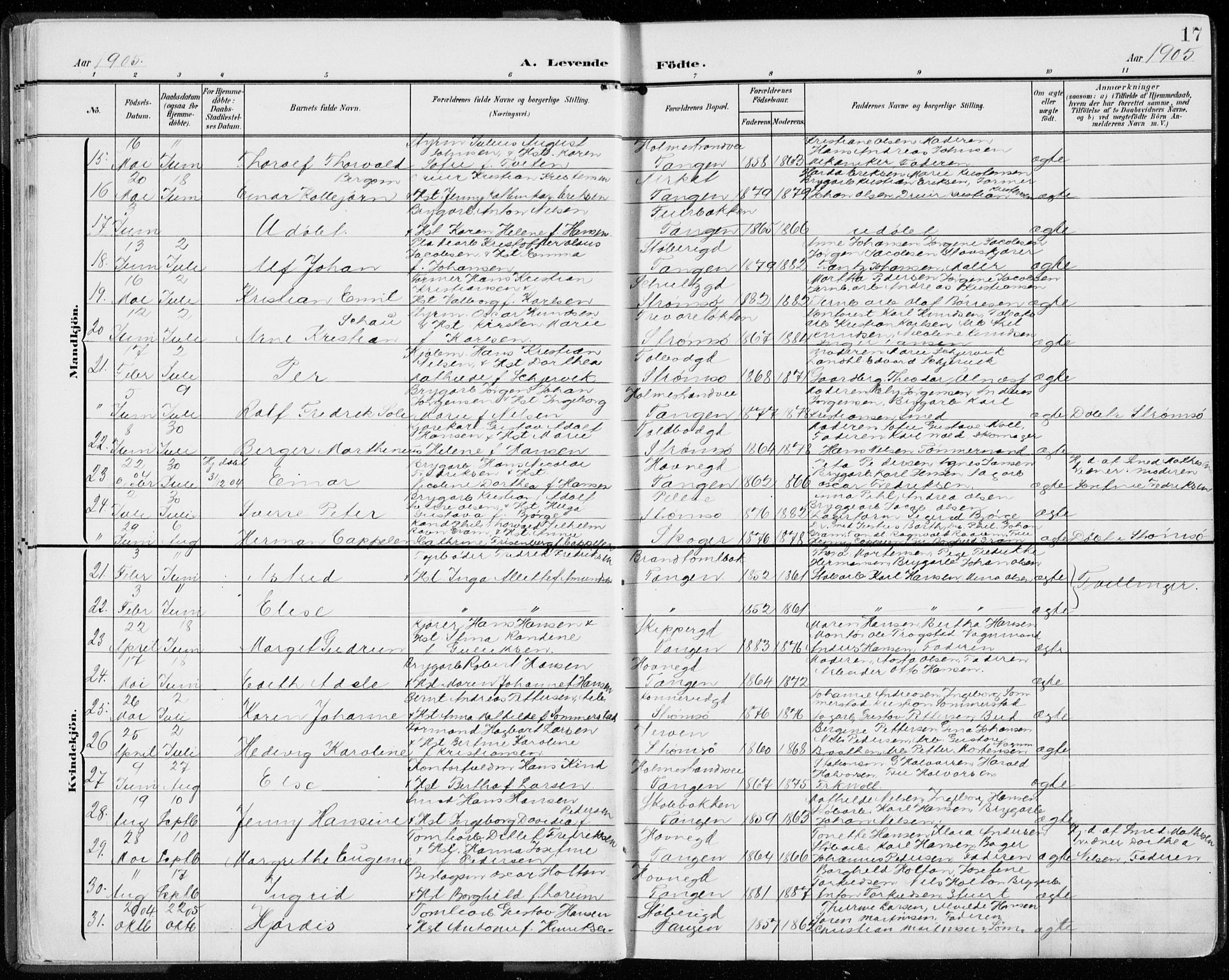 Strømsø kirkebøker, AV/SAKO-A-246/F/Fb/L0008: Parish register (official) no. II 8, 1902-1933, p. 17