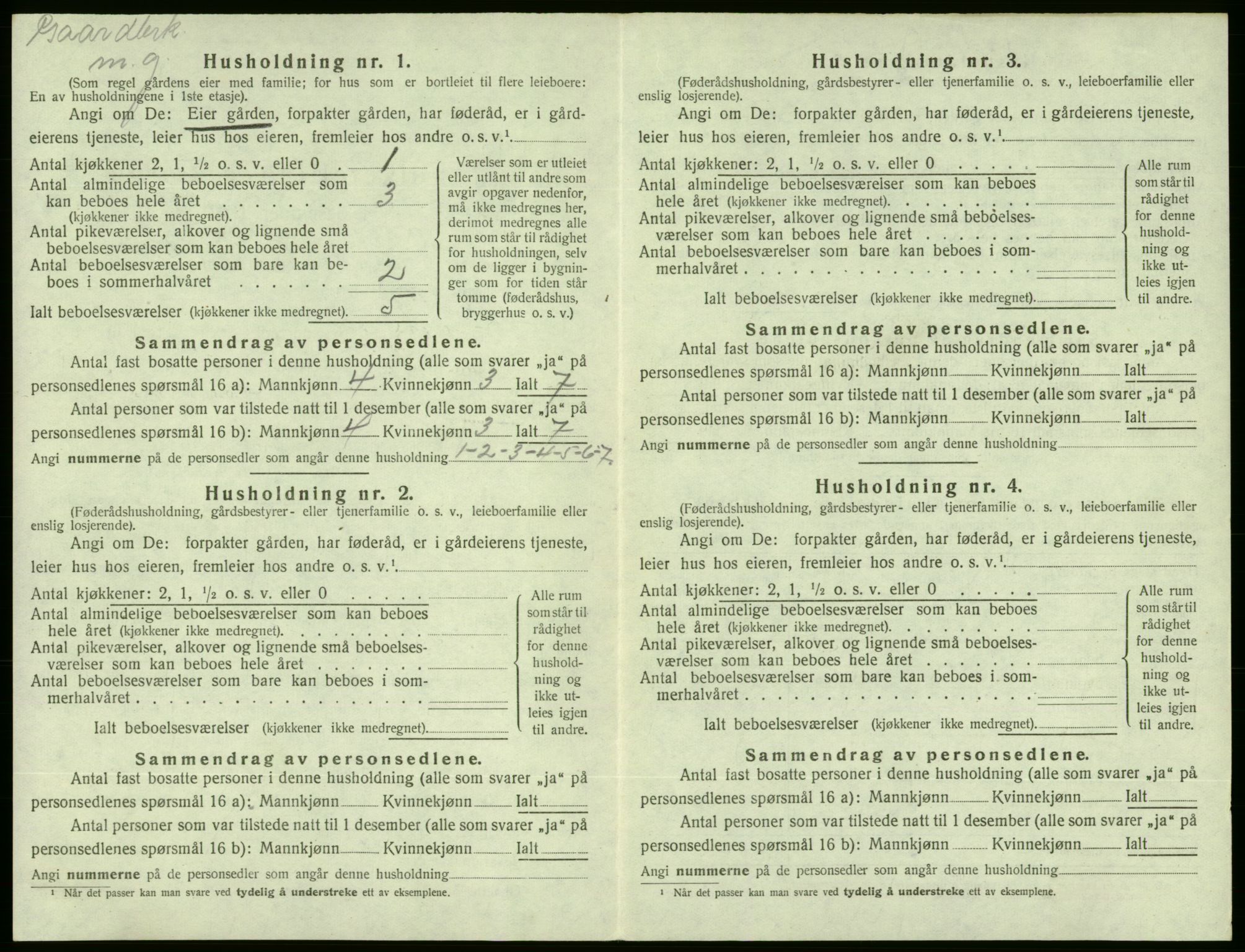 SAB, 1920 census for Etne, 1920, p. 203