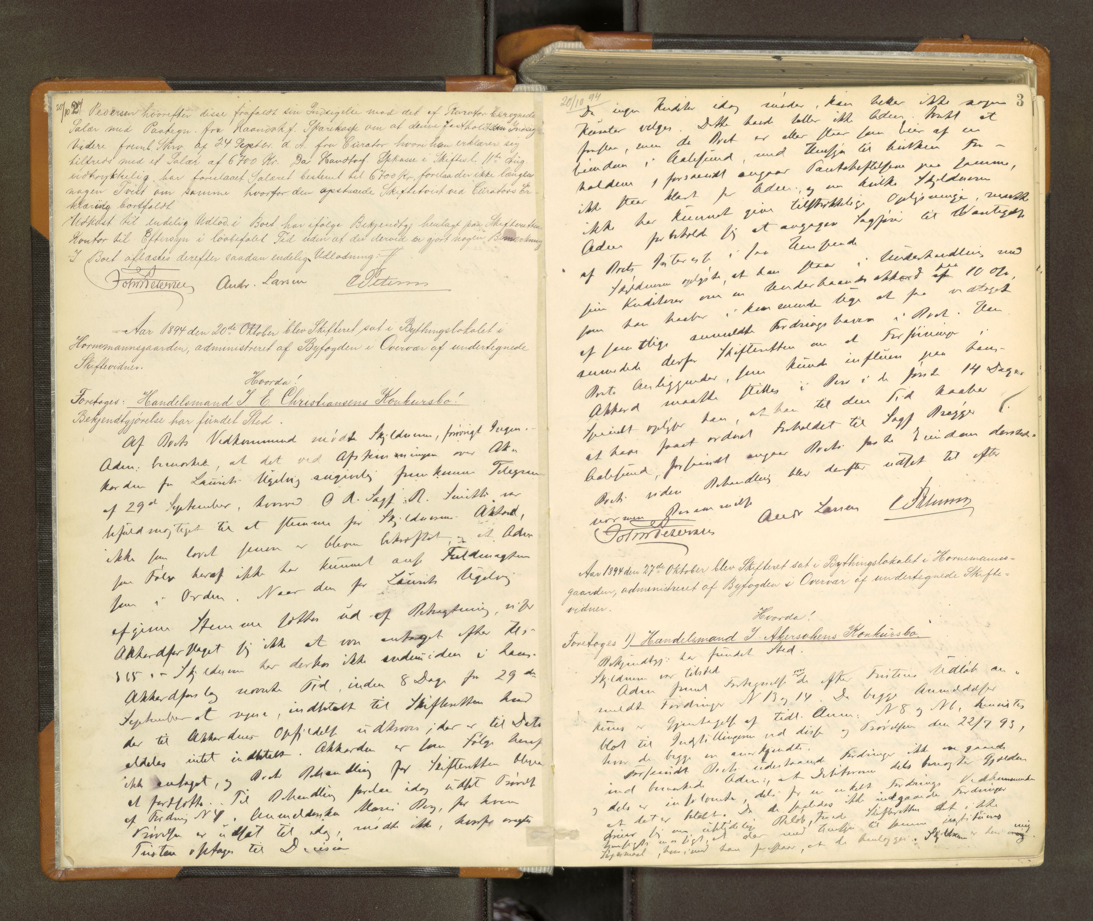 Trondheim byfogd, AV/SAT-A-0003/1/3/3B/L0012: Skiftebehandlingsprotokoll (u/ register) U, 1894-1902, p. 2-3