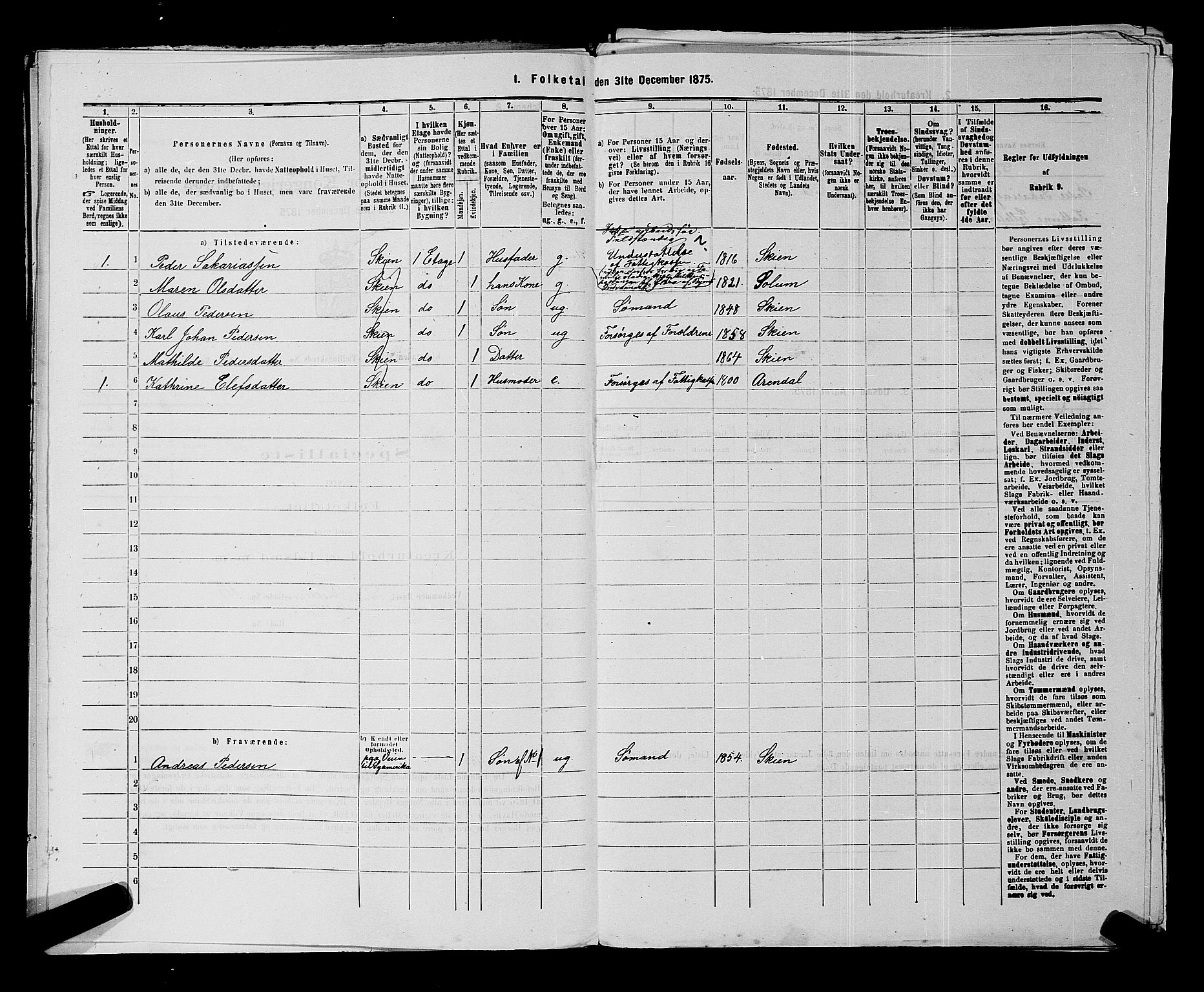 SAKO, 1875 census for 0806P Skien, 1875, p. 982