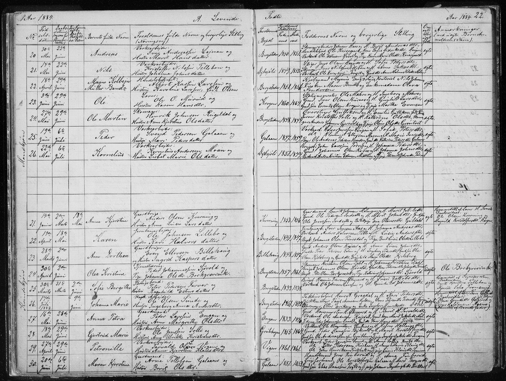 Ministerialprotokoller, klokkerbøker og fødselsregistre - Sør-Trøndelag, AV/SAT-A-1456/681/L0940: Parish register (copy) no. 681C04, 1880-1895, p. 22