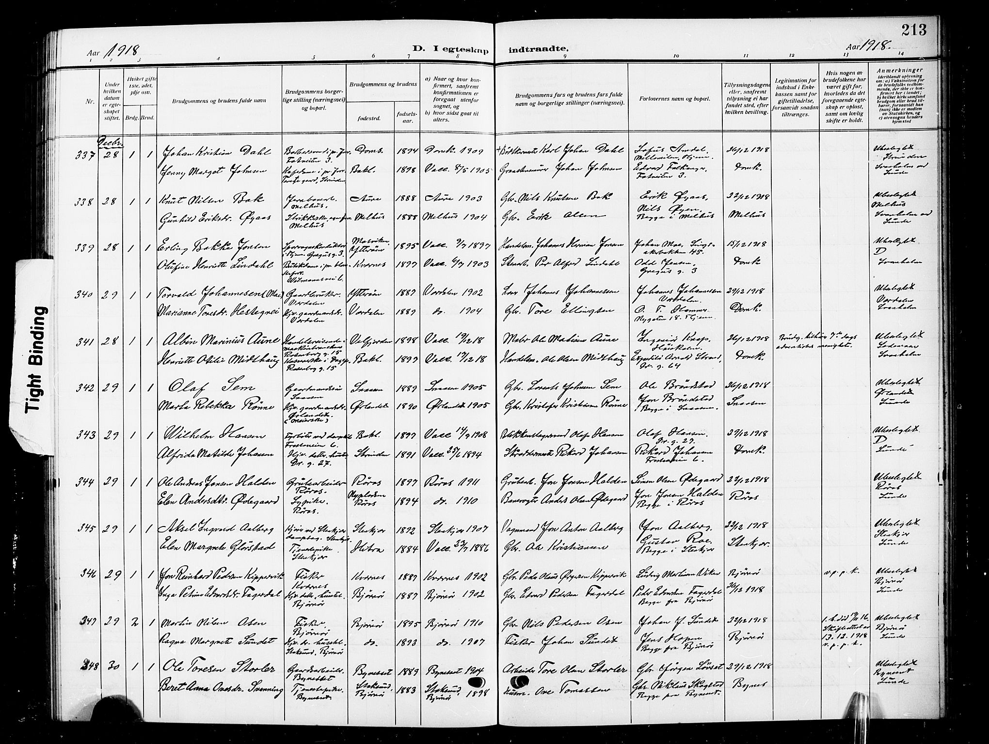 Ministerialprotokoller, klokkerbøker og fødselsregistre - Sør-Trøndelag, SAT/A-1456/601/L0097: Parish register (copy) no. 601C15, 1911-1921, p. 213