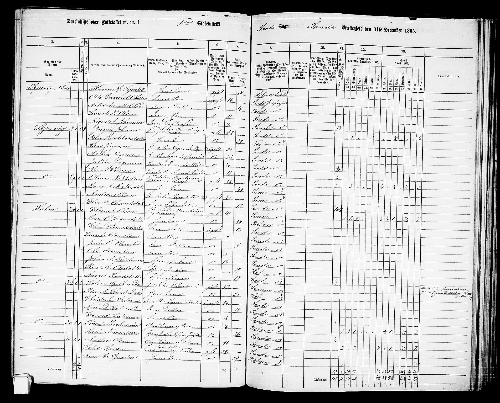RA, 1865 census for Sande, 1865, p. 12