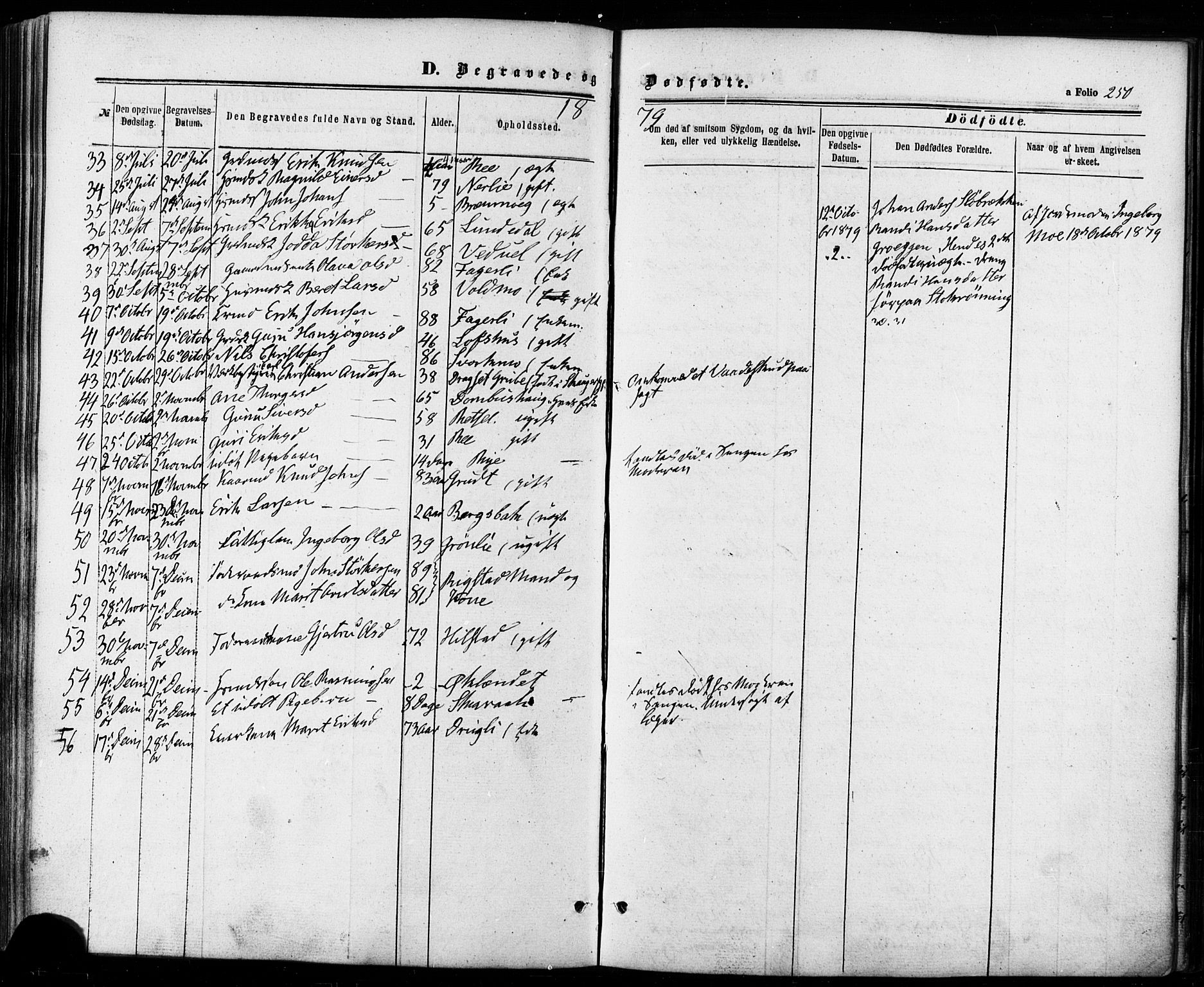 Ministerialprotokoller, klokkerbøker og fødselsregistre - Sør-Trøndelag, SAT/A-1456/672/L0856: Parish register (official) no. 672A08, 1861-1881, p. 250