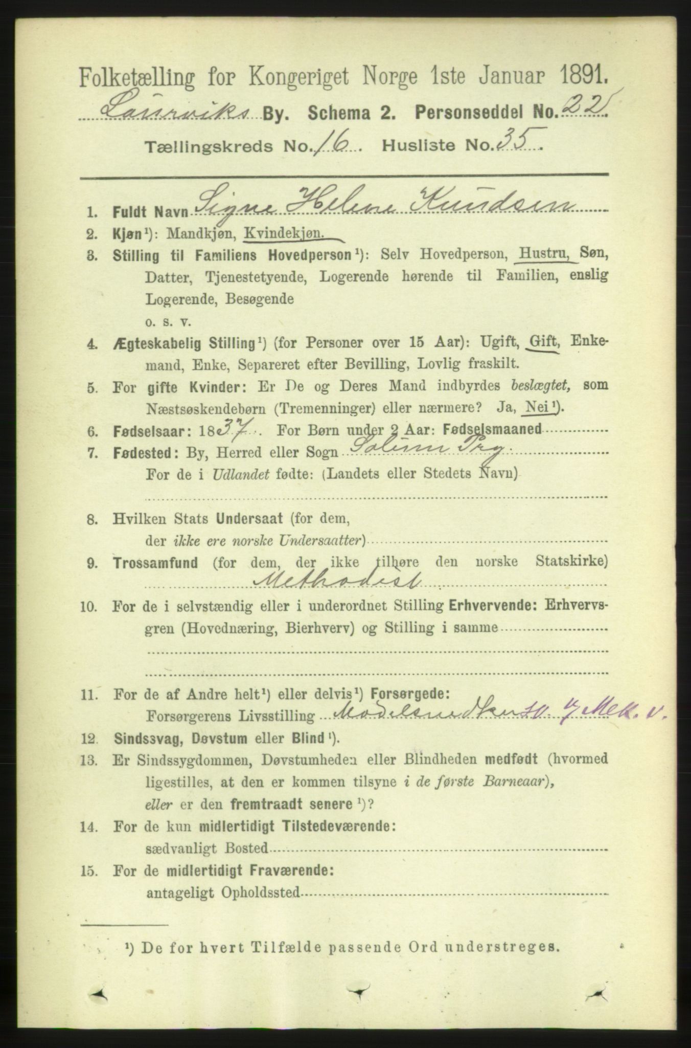 RA, 1891 census for 0707 Larvik, 1891, p. 11925