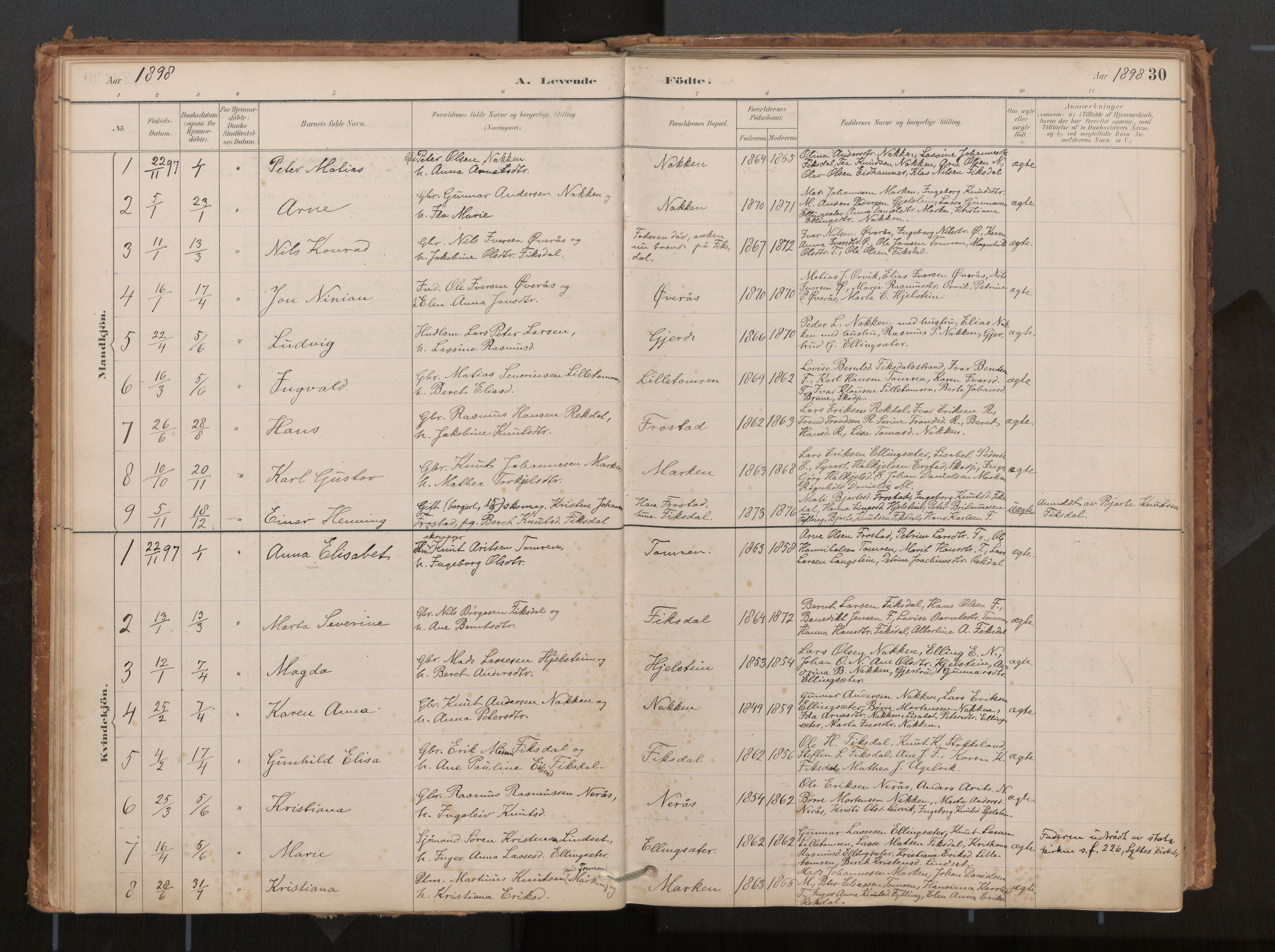 Ministerialprotokoller, klokkerbøker og fødselsregistre - Møre og Romsdal, AV/SAT-A-1454/540/L0540a: Parish register (official) no. 540A02, 1884-1908, p. 30