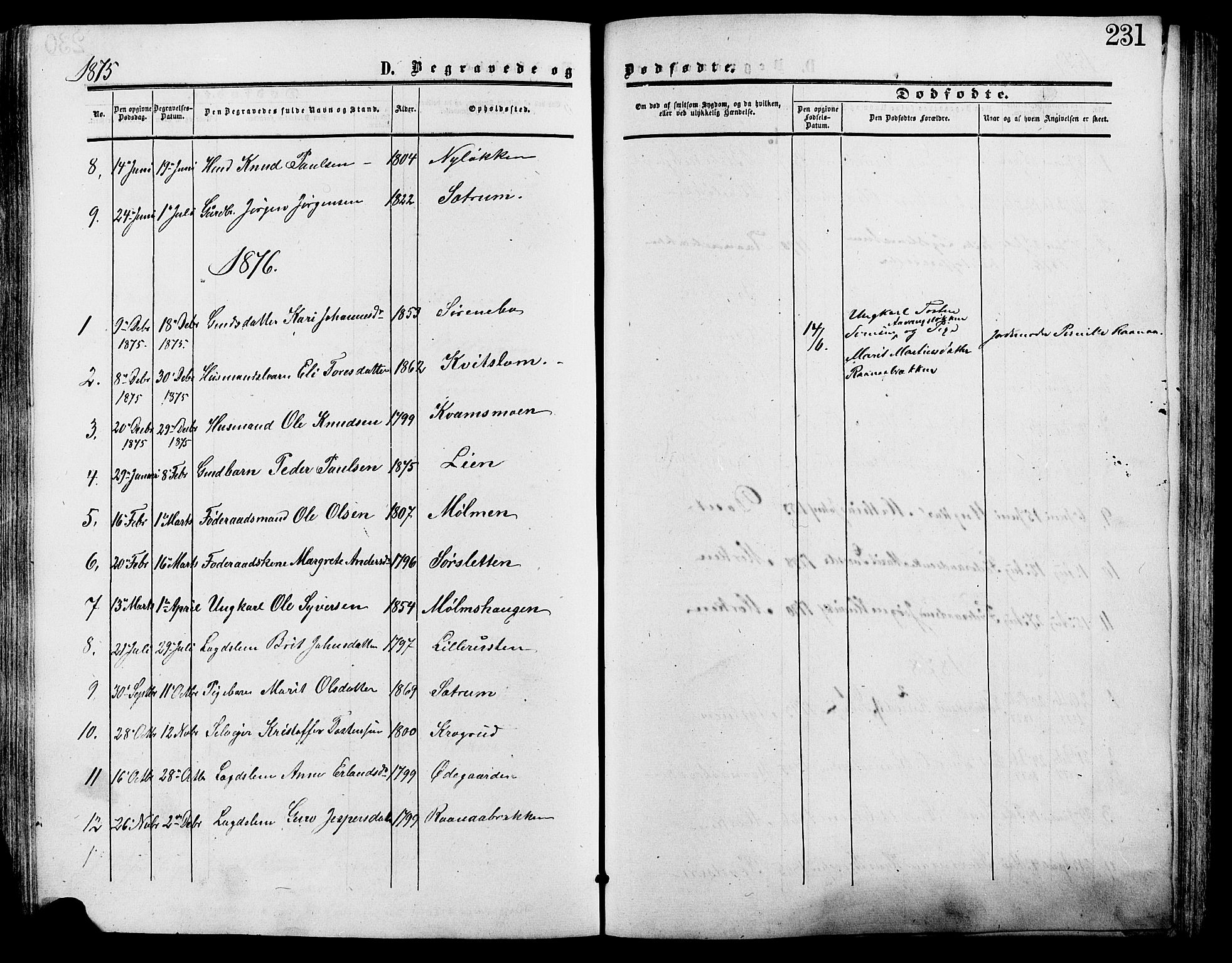 Lesja prestekontor, SAH/PREST-068/H/Ha/Haa/L0009: Parish register (official) no. 9, 1854-1889, p. 231