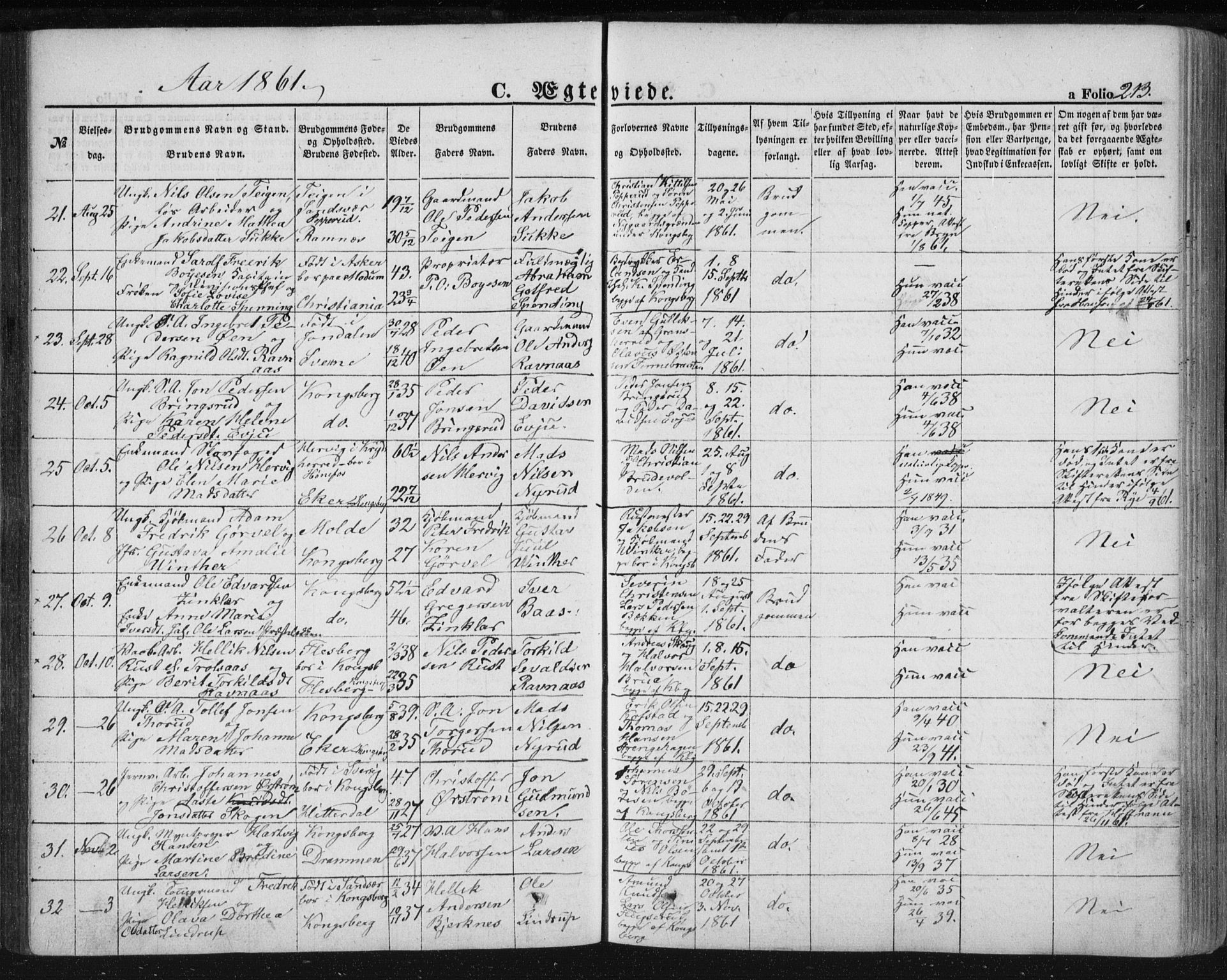 Kongsberg kirkebøker, SAKO/A-22/F/Fa/L0010: Parish register (official) no. I 10, 1859-1875, p. 213