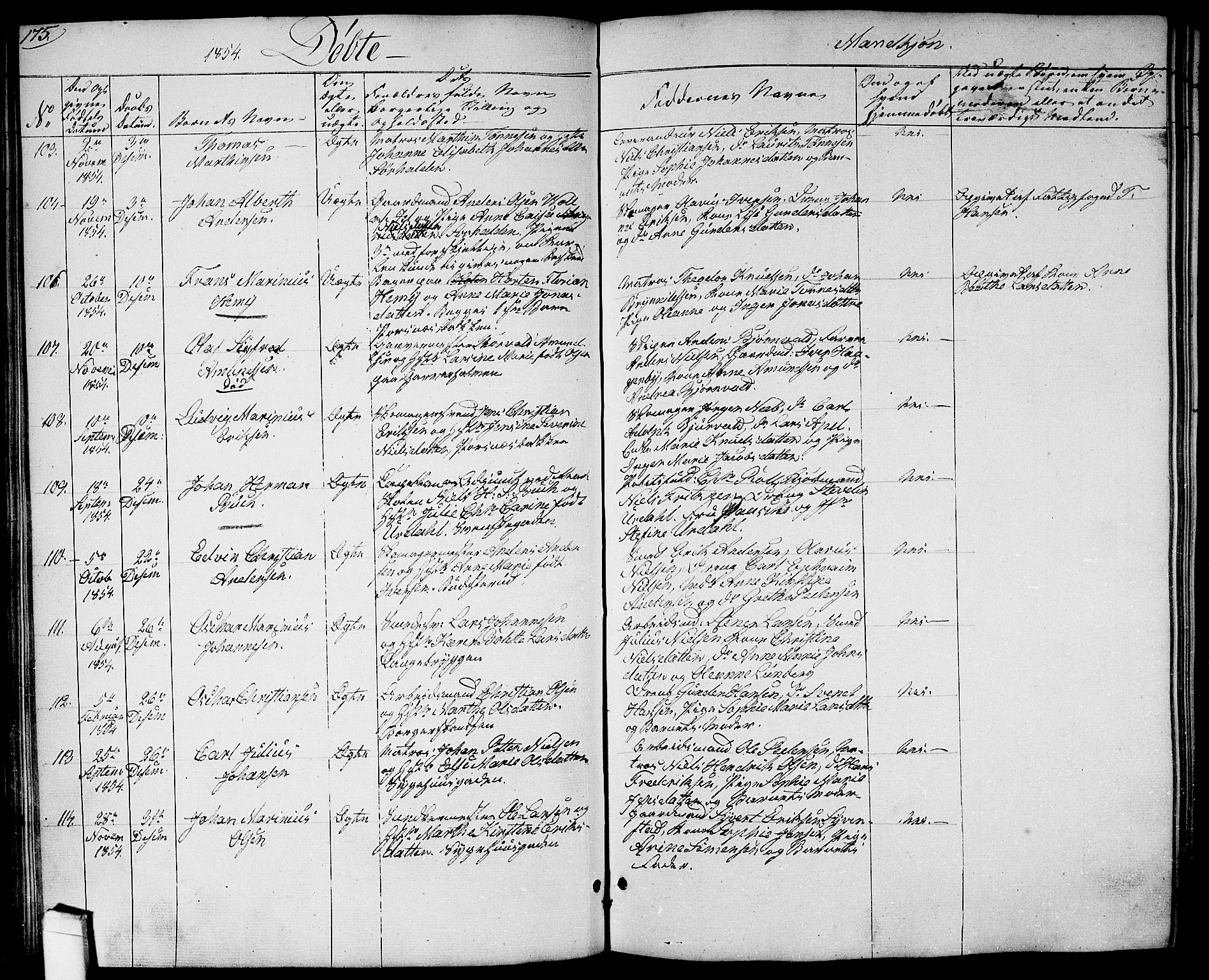 Halden prestekontor Kirkebøker, AV/SAO-A-10909/G/Ga/L0004: Parish register (copy) no. 4, 1845-1854, p. 175