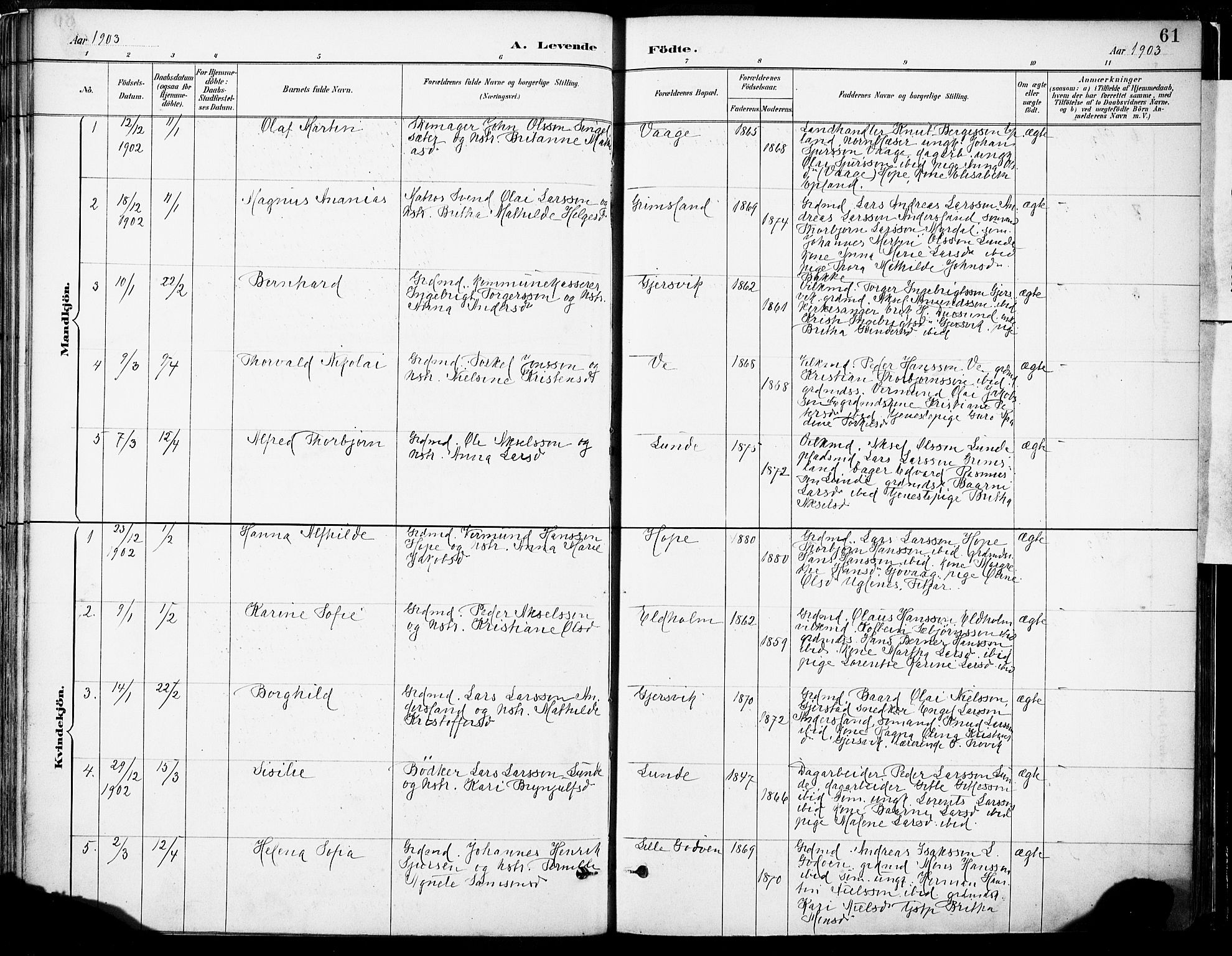 Tysnes sokneprestembete, SAB/A-78601/H/Haa: Parish register (official) no. B 1, 1887-1906, p. 61