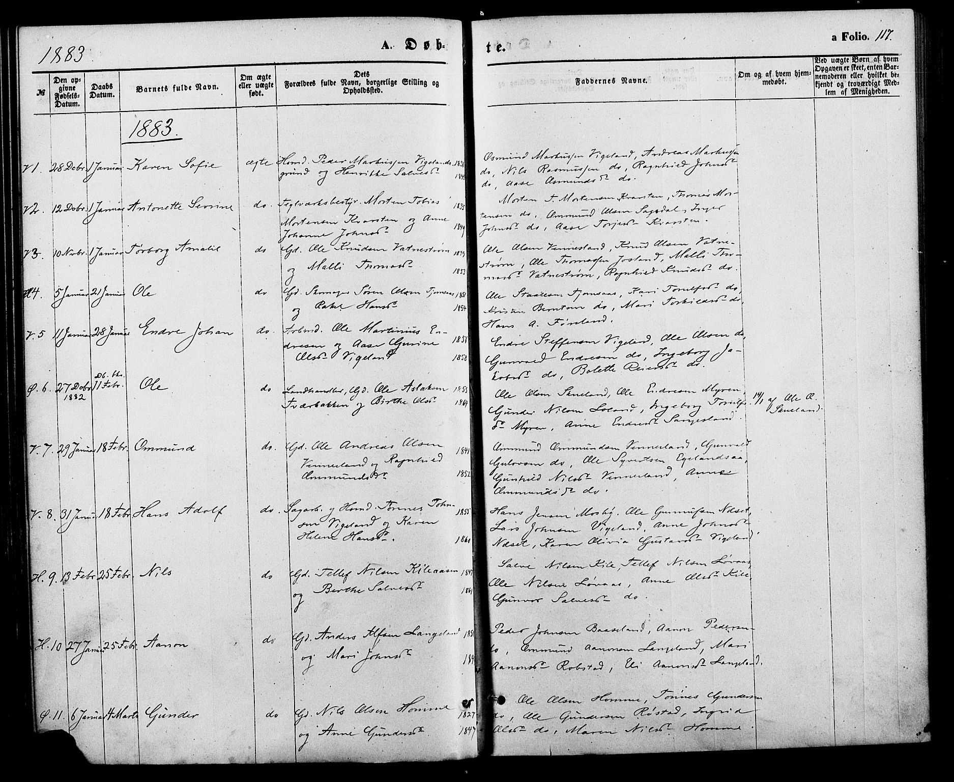 Vennesla sokneprestkontor, SAK/1111-0045/Fa/Fac/L0008: Parish register (official) no. A 8, 1874-1883, p. 117