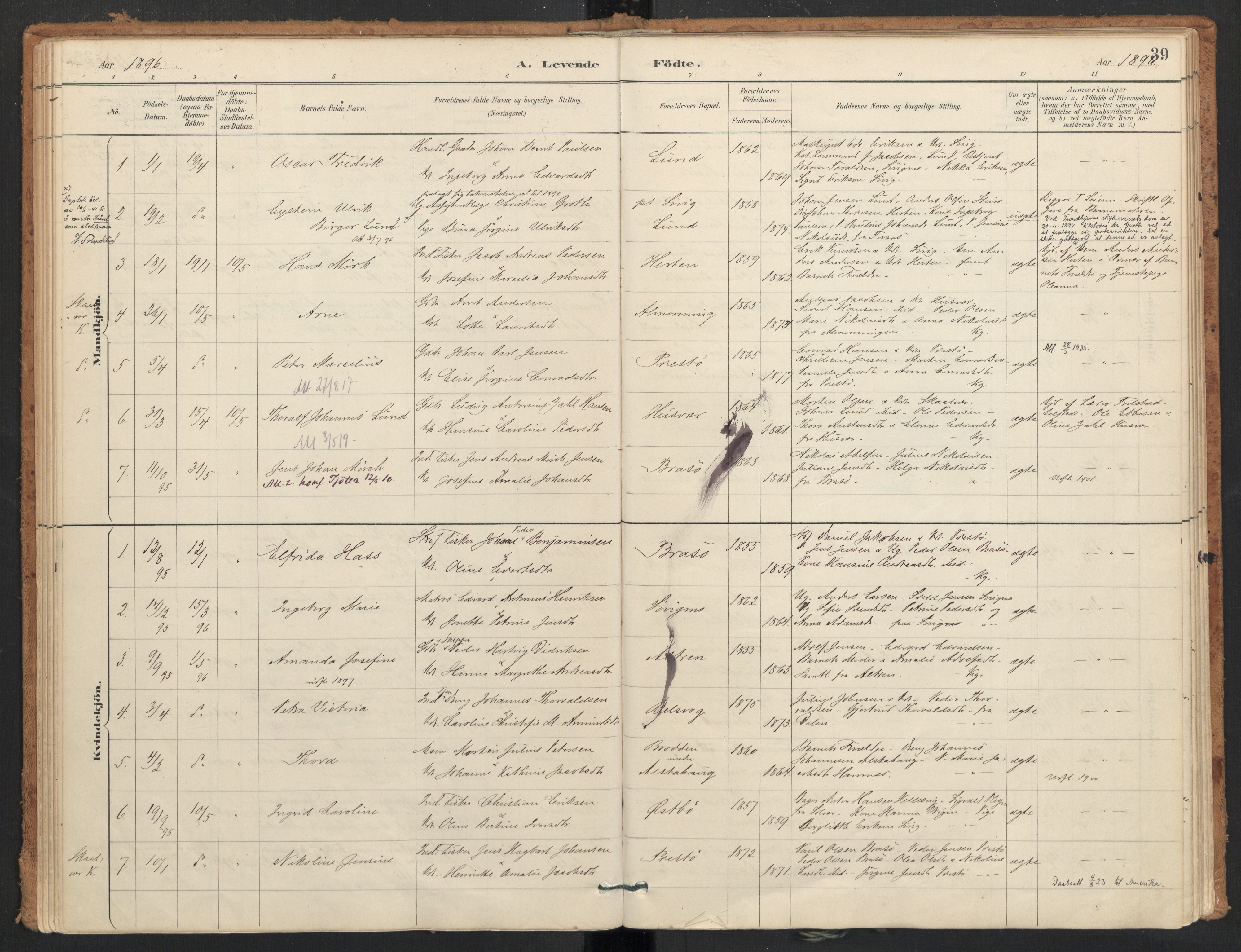 Ministerialprotokoller, klokkerbøker og fødselsregistre - Nordland, AV/SAT-A-1459/830/L0453: Parish register (official) no. 830A17, 1886-1911, p. 39