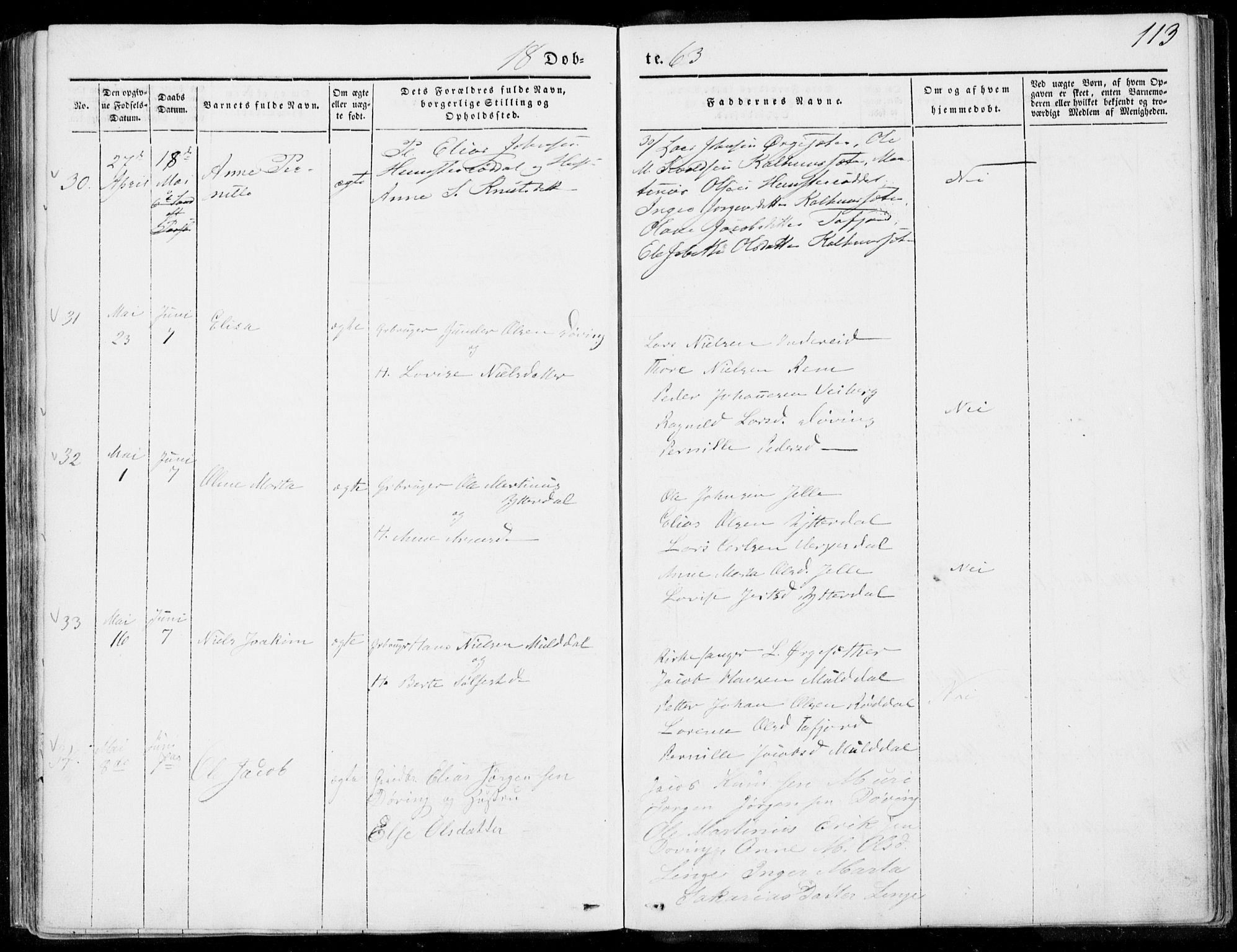 Ministerialprotokoller, klokkerbøker og fødselsregistre - Møre og Romsdal, AV/SAT-A-1454/519/L0249: Parish register (official) no. 519A08, 1846-1868, p. 113