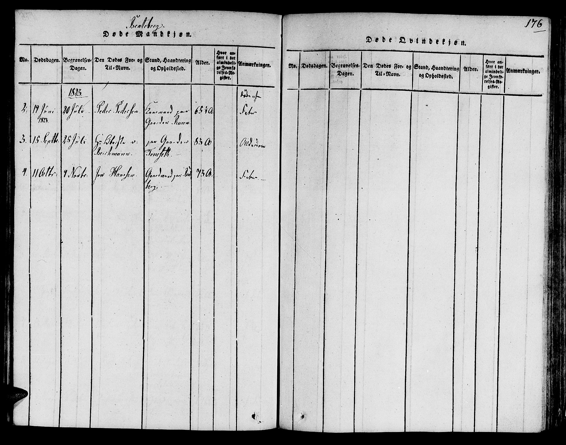 Ministerialprotokoller, klokkerbøker og fødselsregistre - Sør-Trøndelag, SAT/A-1456/606/L0285: Parish register (official) no. 606A03 /3, 1819-1823, p. 176