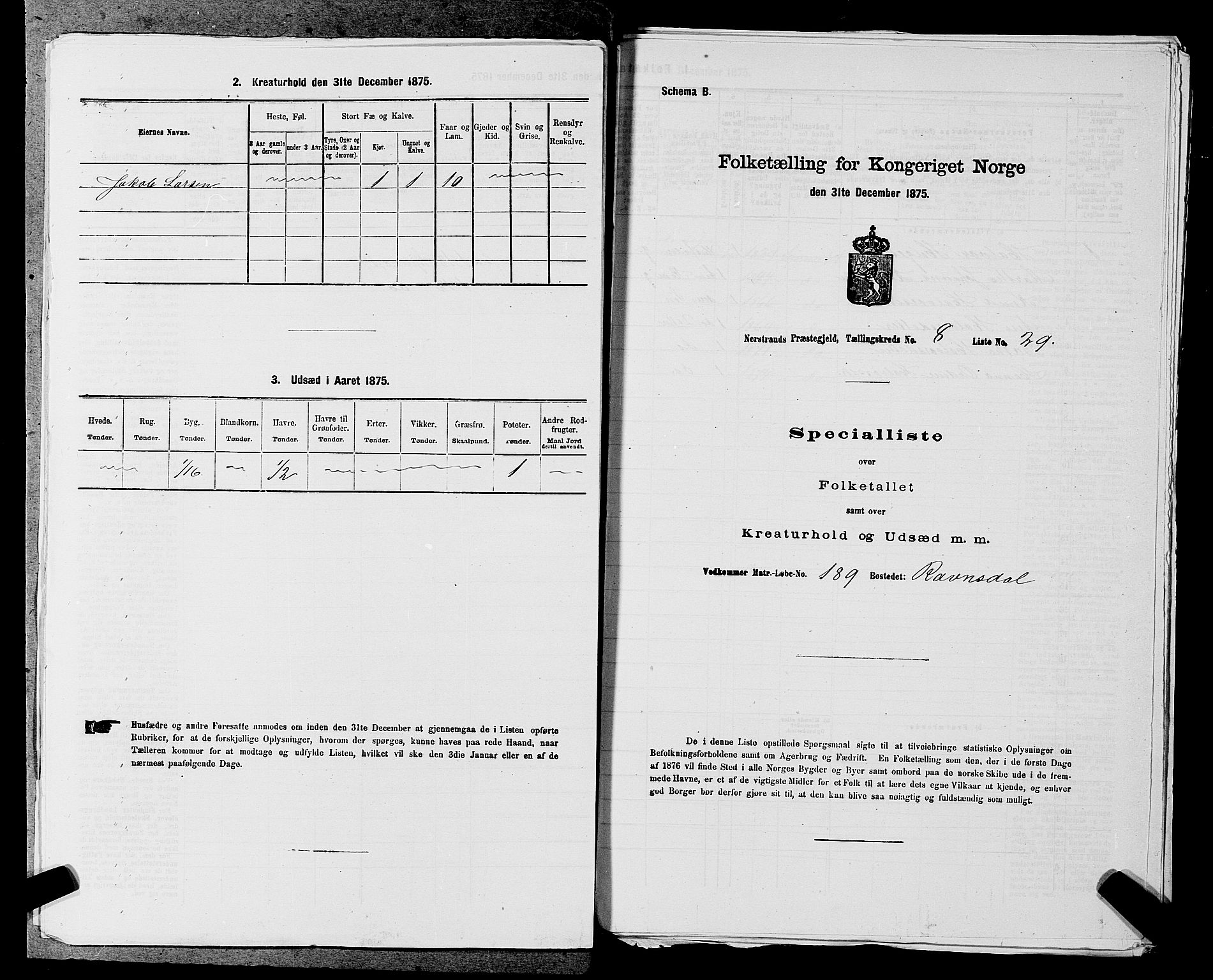 SAST, 1875 census for 1139P Nedstrand, 1875, p. 917