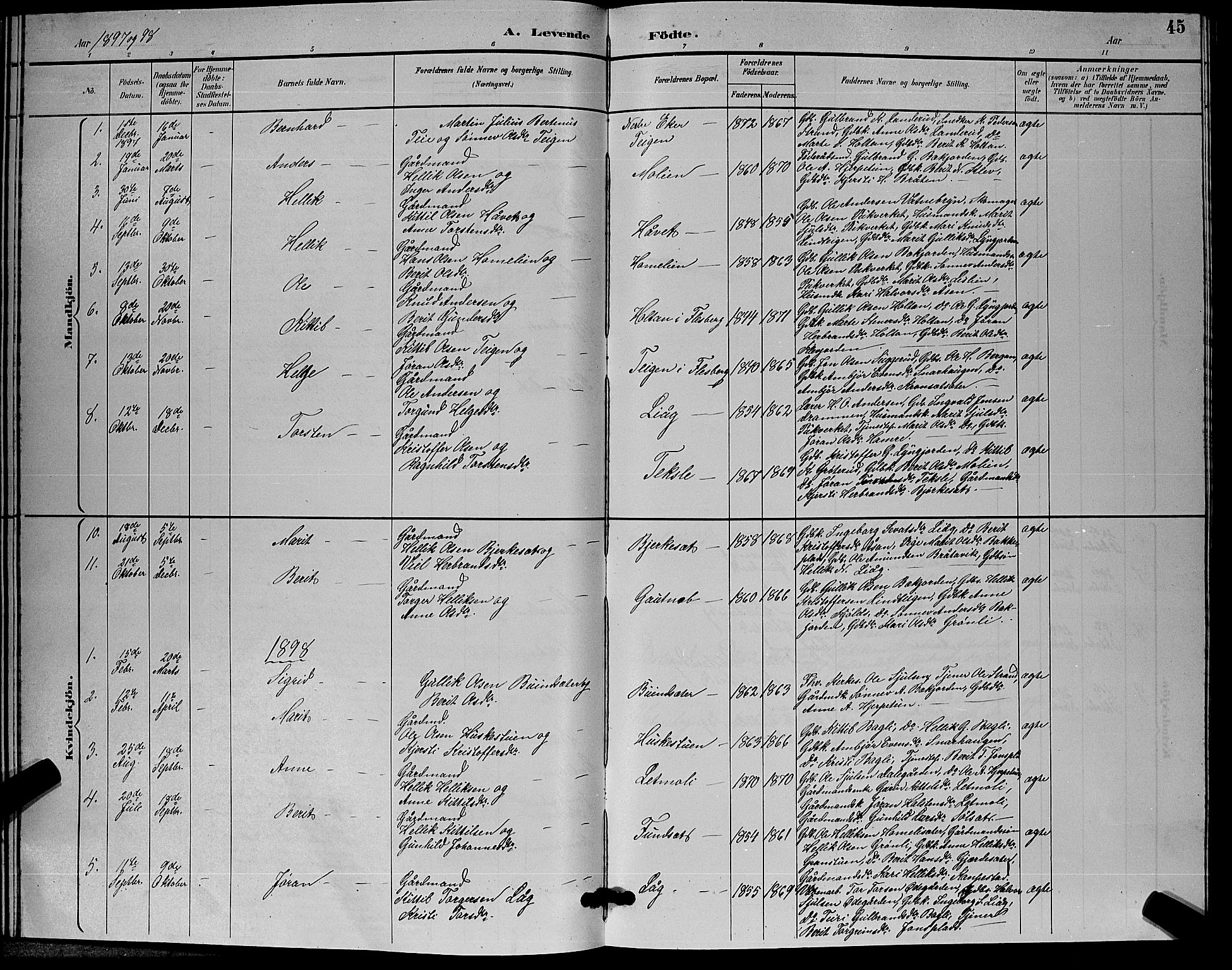 Flesberg kirkebøker, SAKO/A-18/G/Ga/L0004: Parish register (copy) no. I 4 /3, 1890-1898, p. 45