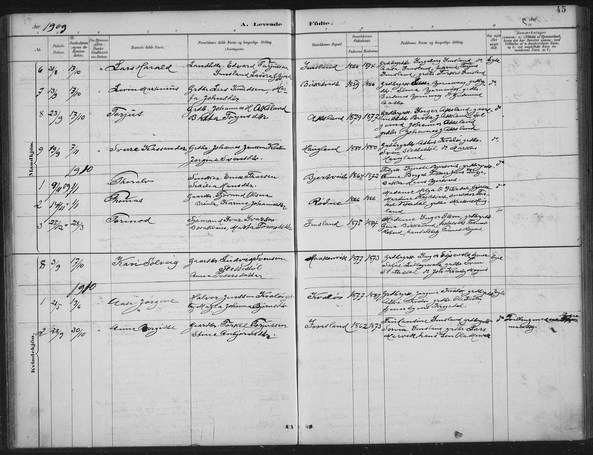 Vikedal sokneprestkontor, AV/SAST-A-101840/01/IV: Parish register (official) no. A 12, 1886-1929, p. 45