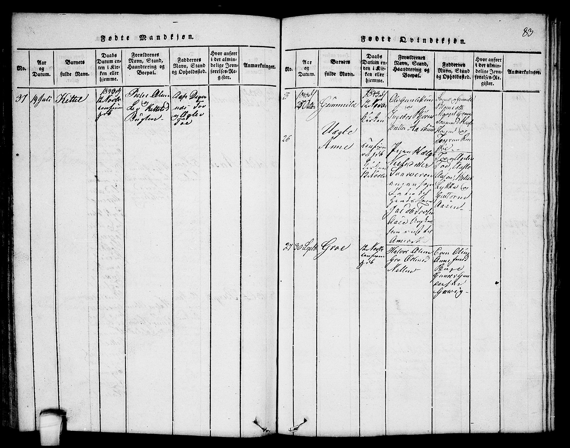 Seljord kirkebøker, AV/SAKO-A-20/F/Fc/L0001: Parish register (official) no. III 1, 1815-1831, p. 83