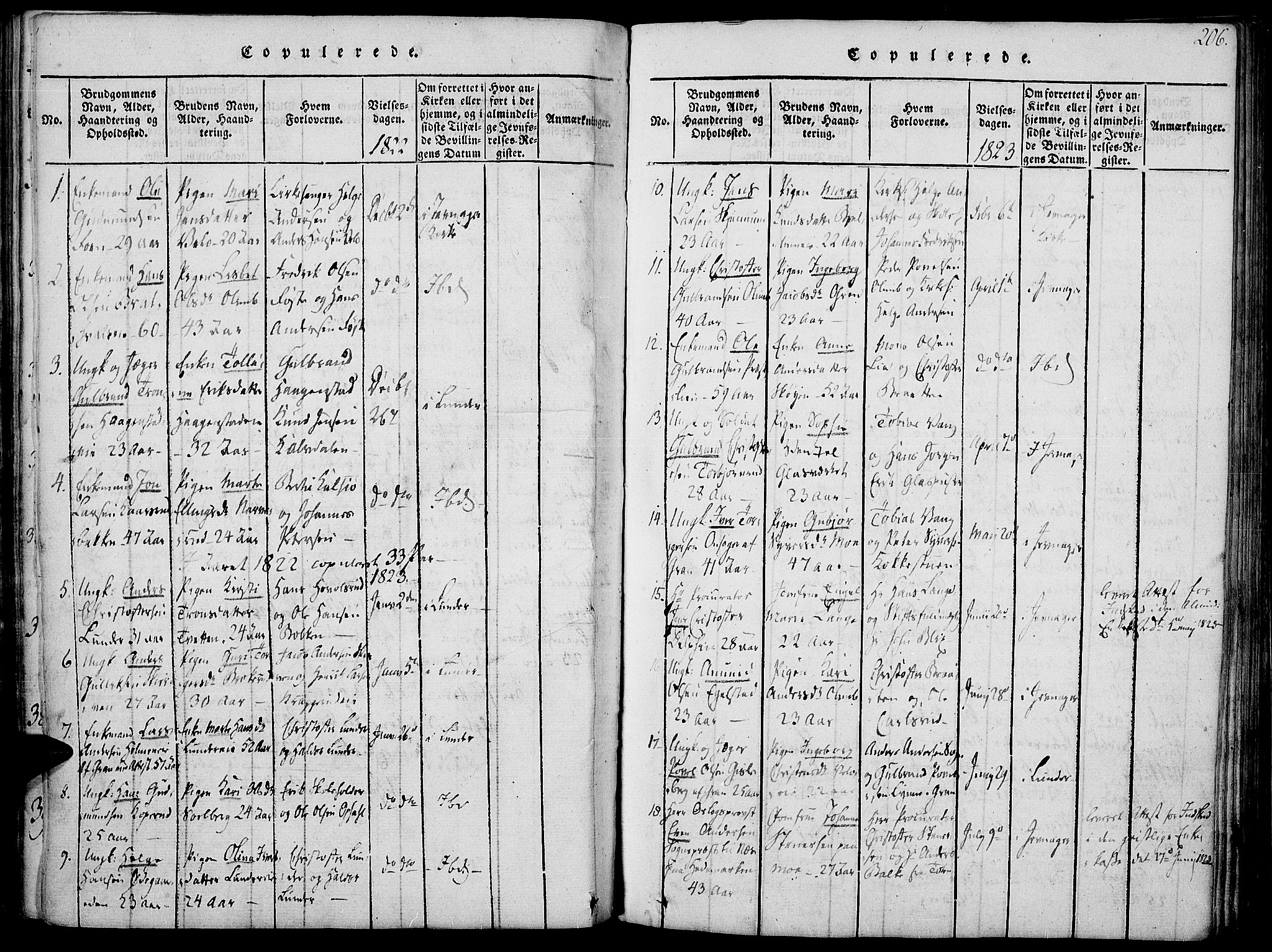 Jevnaker prestekontor, SAH/PREST-116/H/Ha/Haa/L0005: Parish register (official) no. 5, 1815-1837, p. 206