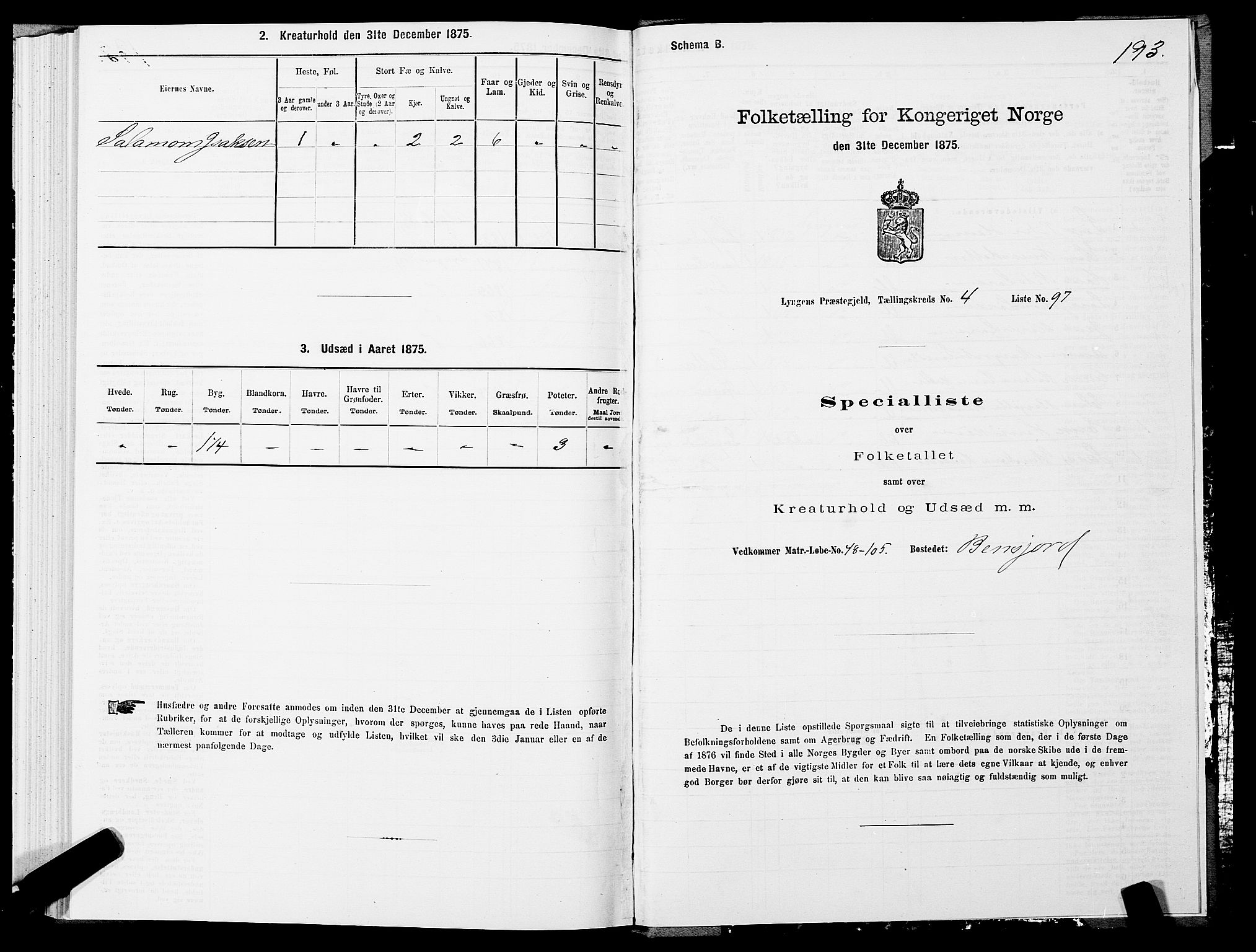 SATØ, 1875 census for 1938P Lyngen, 1875, p. 4193