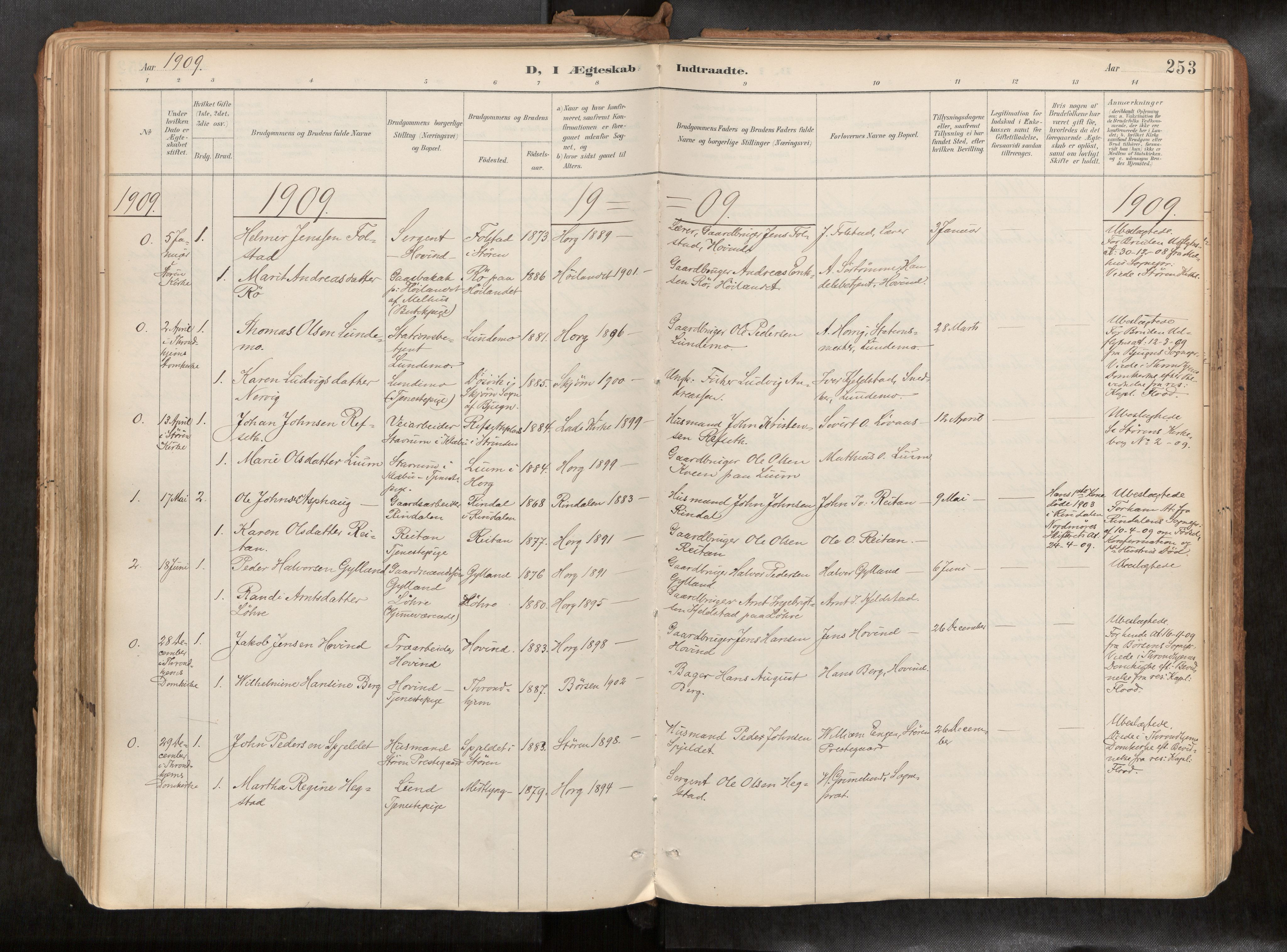 Ministerialprotokoller, klokkerbøker og fødselsregistre - Sør-Trøndelag, SAT/A-1456/692/L1105b: Parish register (official) no. 692A06, 1891-1934, p. 253