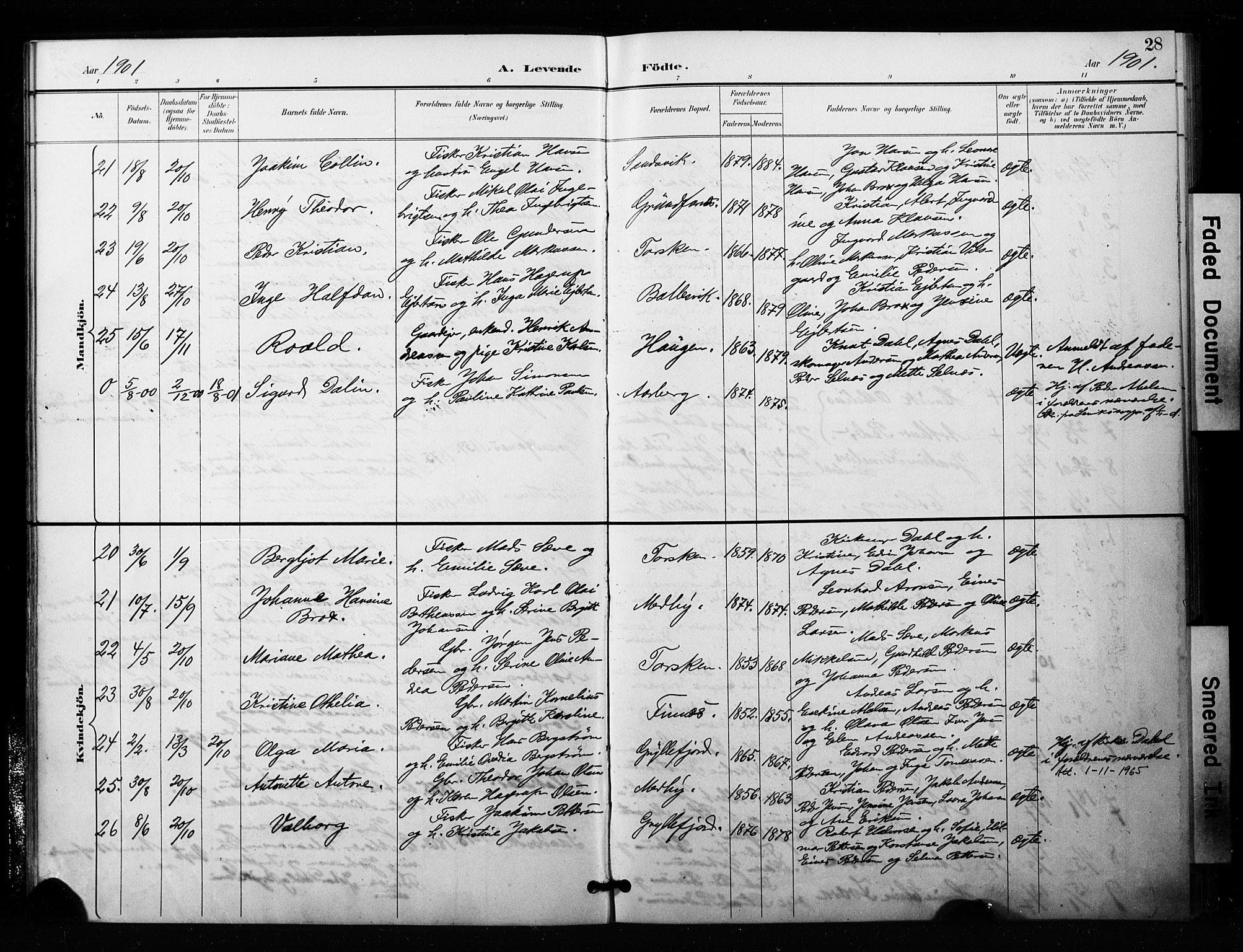 Berg sokneprestkontor, SATØ/S-1318/G/Ga/Gaa/L0006kirke: Parish register (official) no. 6, 1894-1904, p. 28