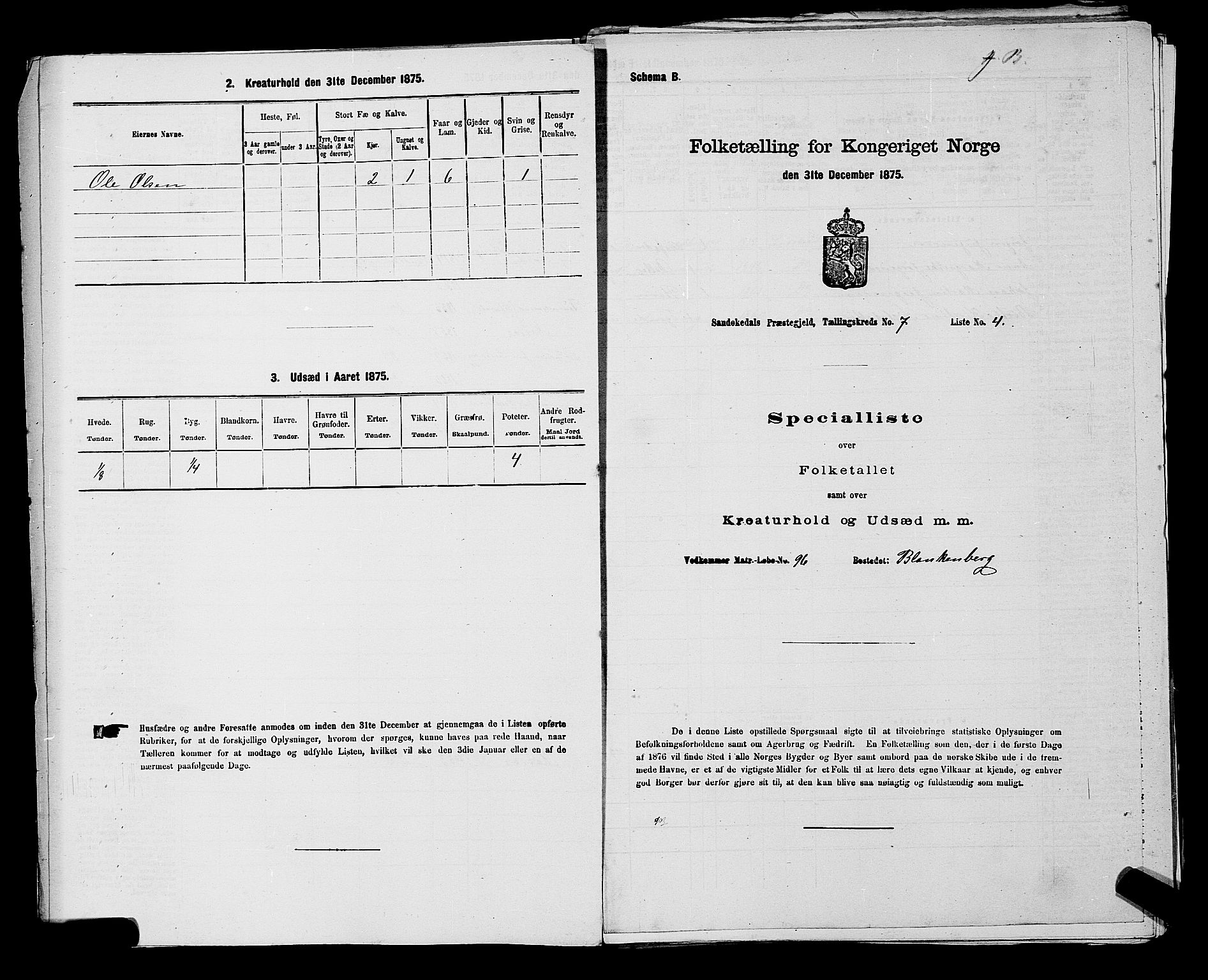 SAKO, 1875 census for 0816P Sannidal, 1875, p. 551