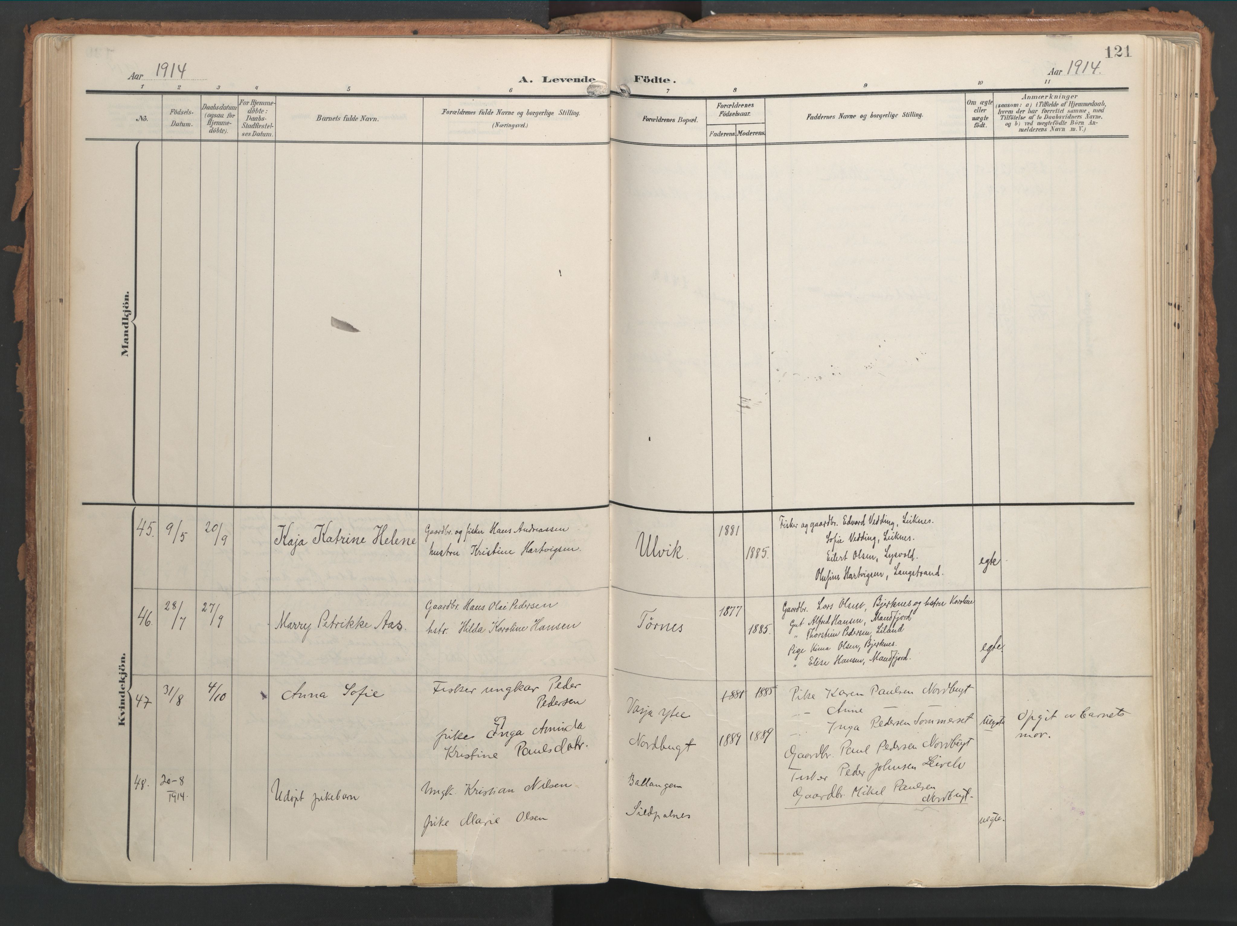 Ministerialprotokoller, klokkerbøker og fødselsregistre - Nordland, AV/SAT-A-1459/861/L0871: Parish register (official) no. 861A06, 1903-1916, p. 121